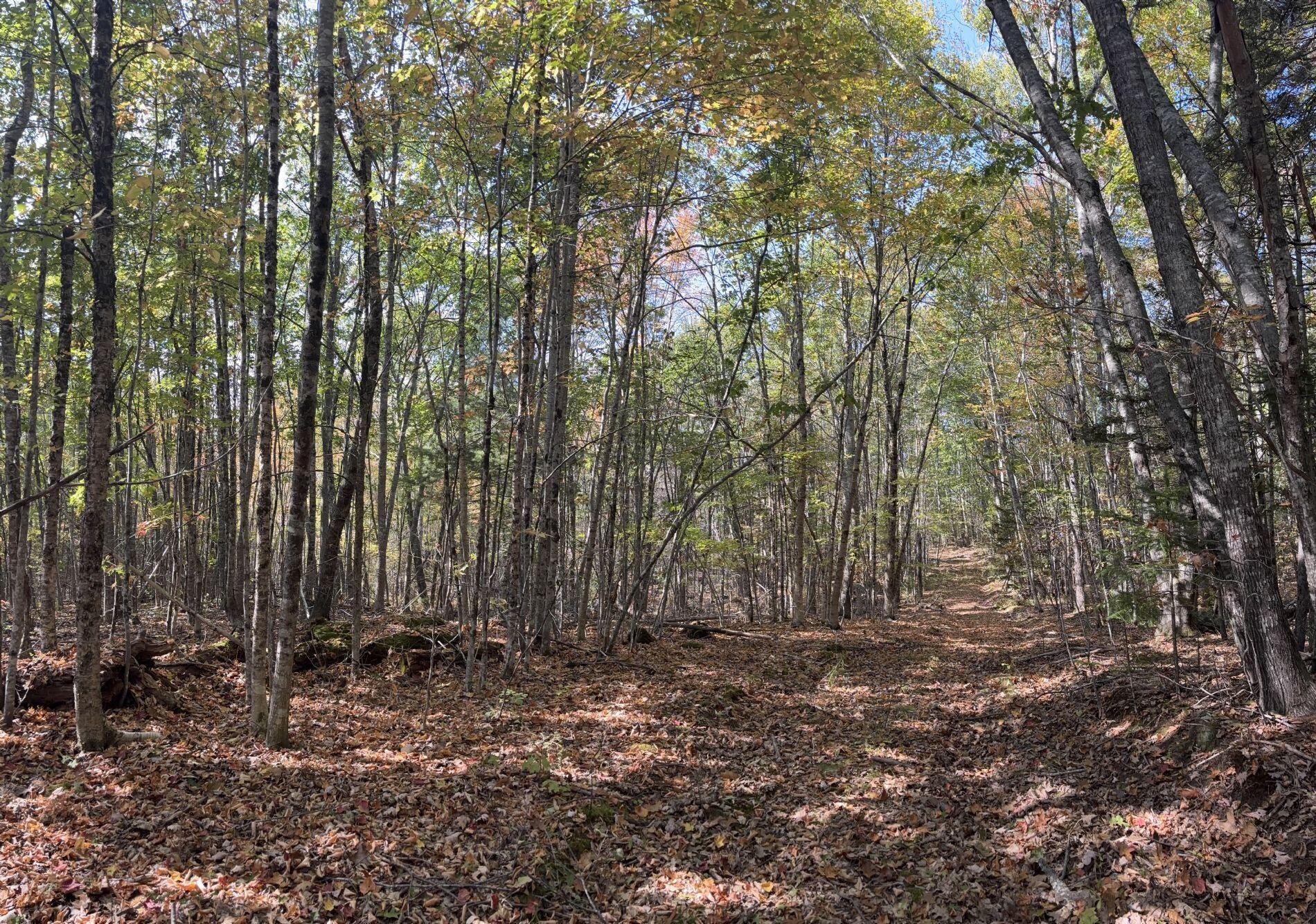 150 Bowden Point Road, Prospect, ME, 04981