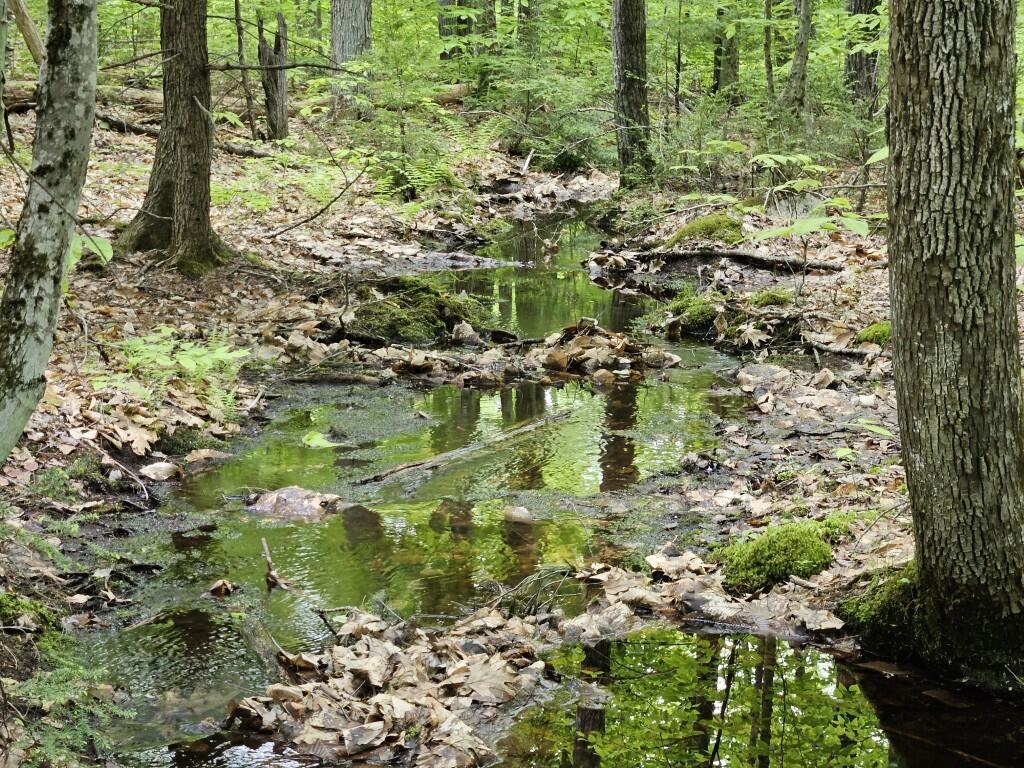 M10L44 Mountain View Road, Fryeburg, ME, 04037