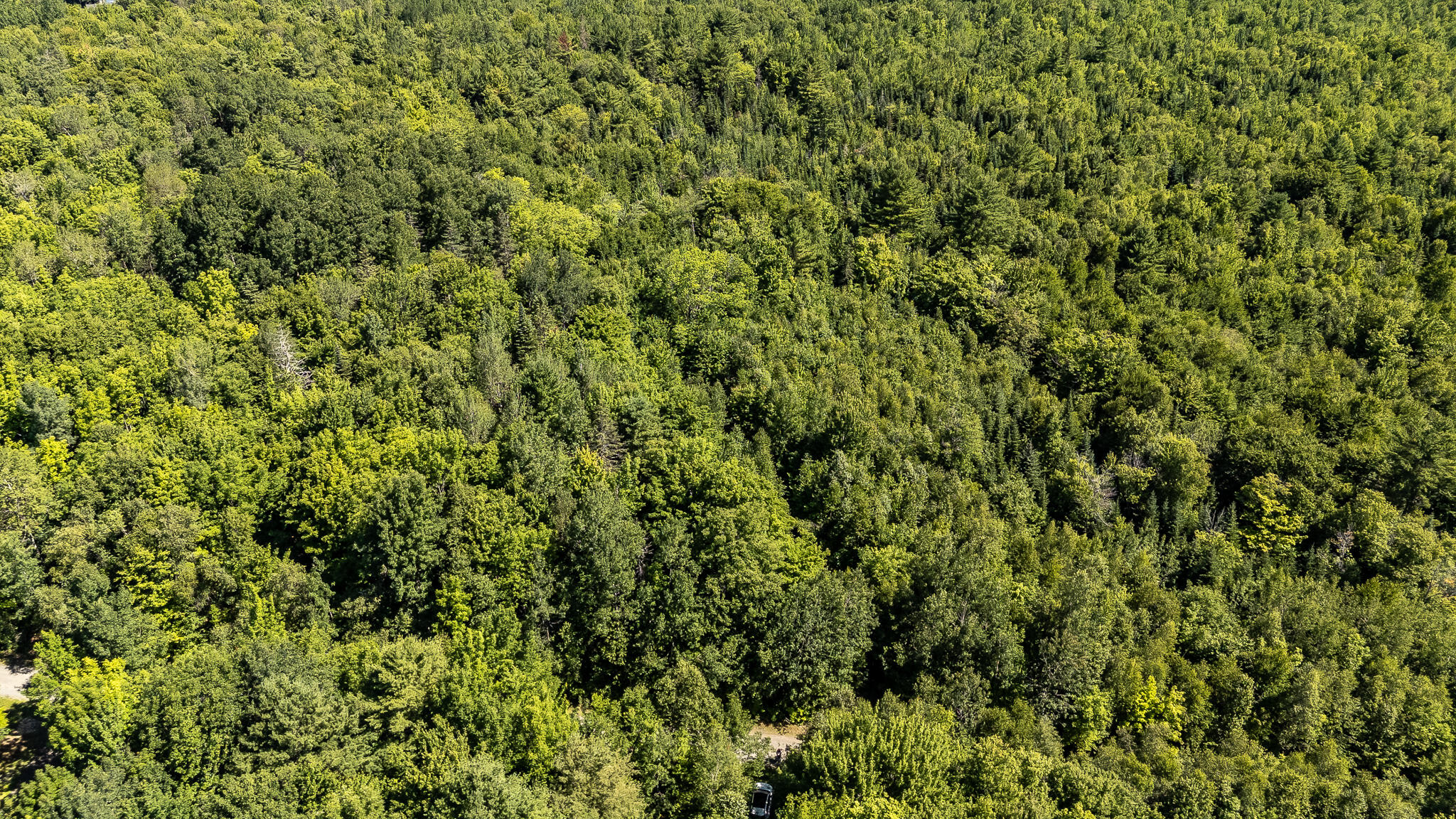 Lot 18-5 Woodland Lane, #Map 2, Brownville, ME 04414 DJI_20260720102234_0113_D