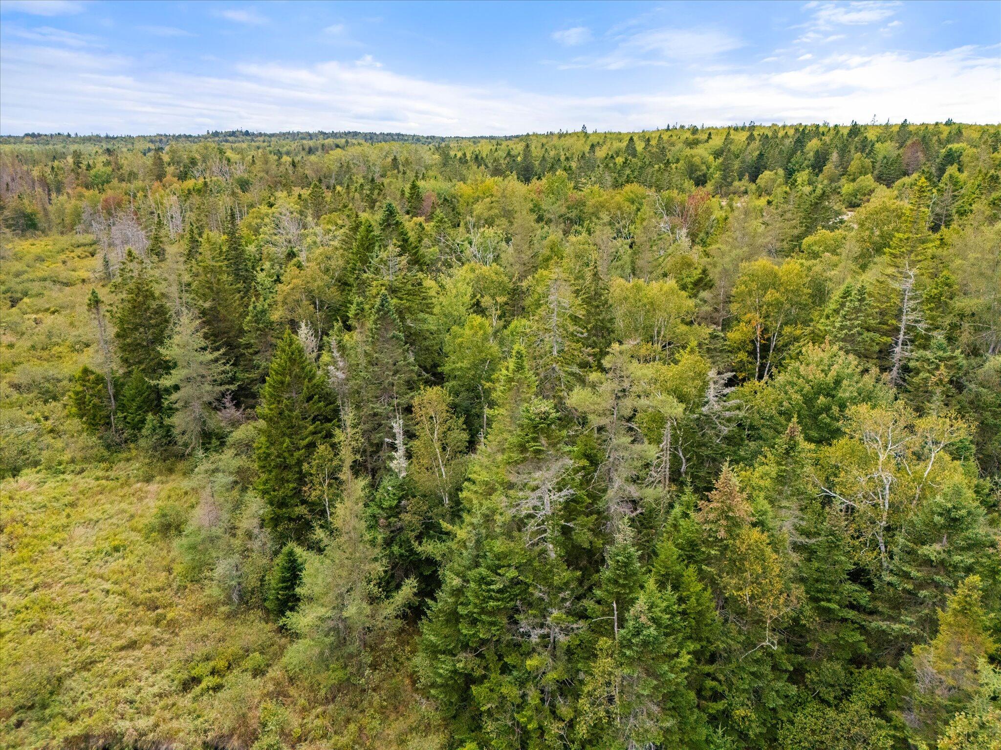 M17L21 Basin Road, Addison, ME, 04606