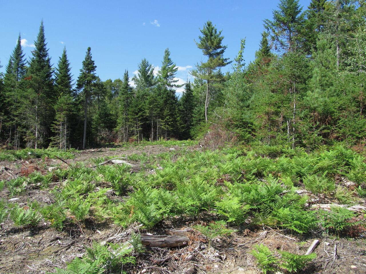 929 Center Hill Road Road, Weld, ME, 04285