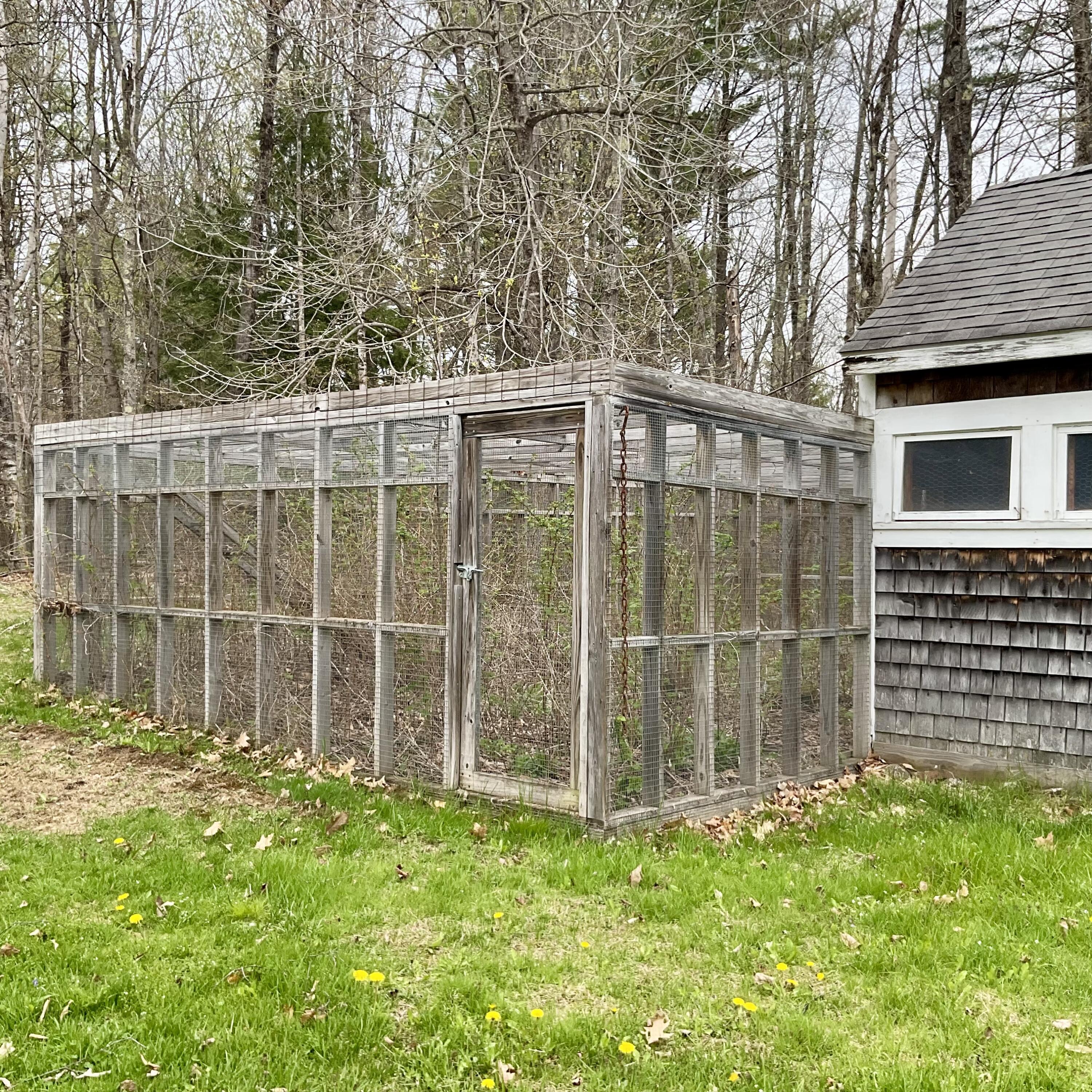 CHICKEN RUN (NEEDS WEEDING)