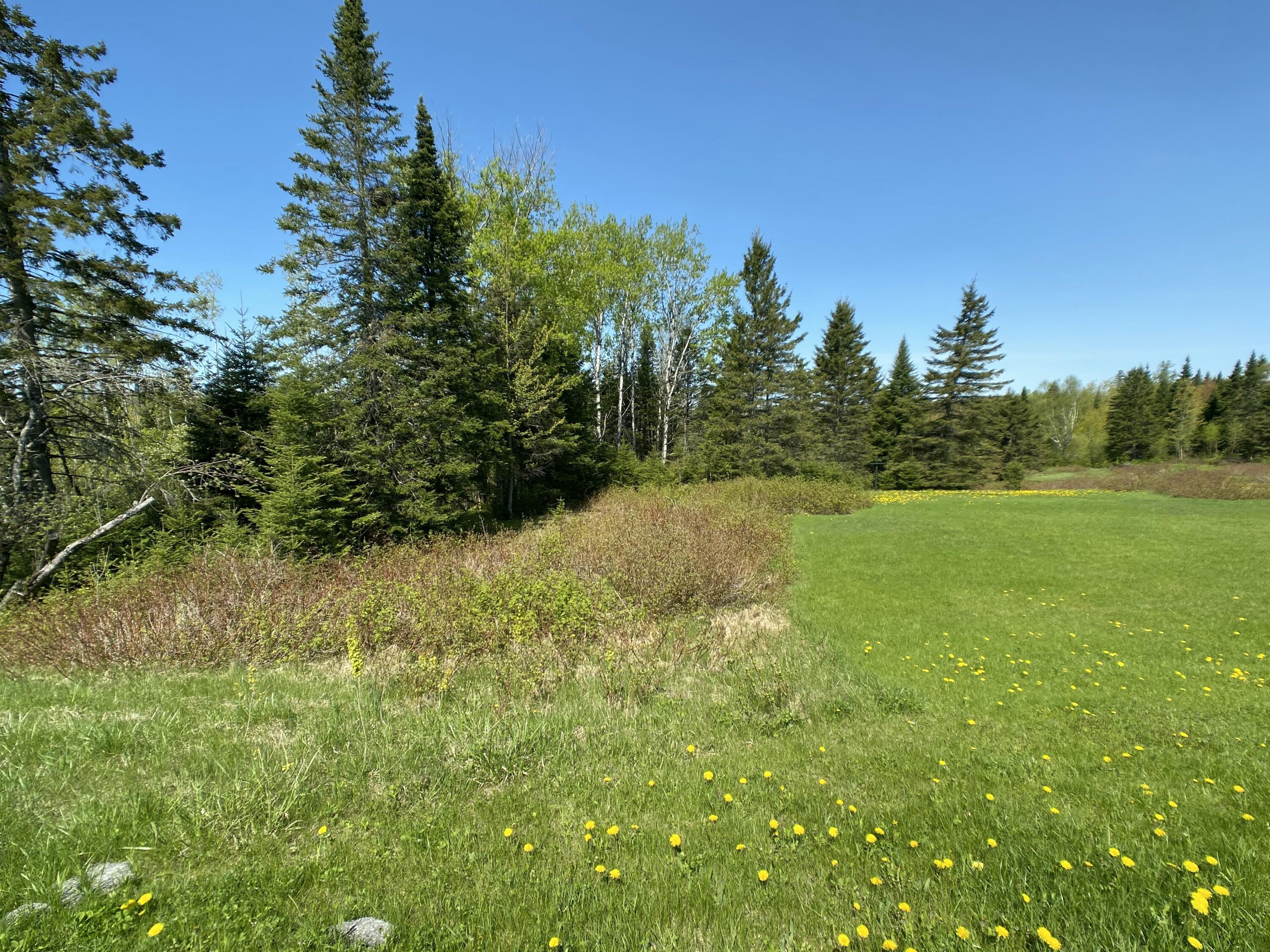 4-31 Caribou Road, Cyr Plt, ME, 04785