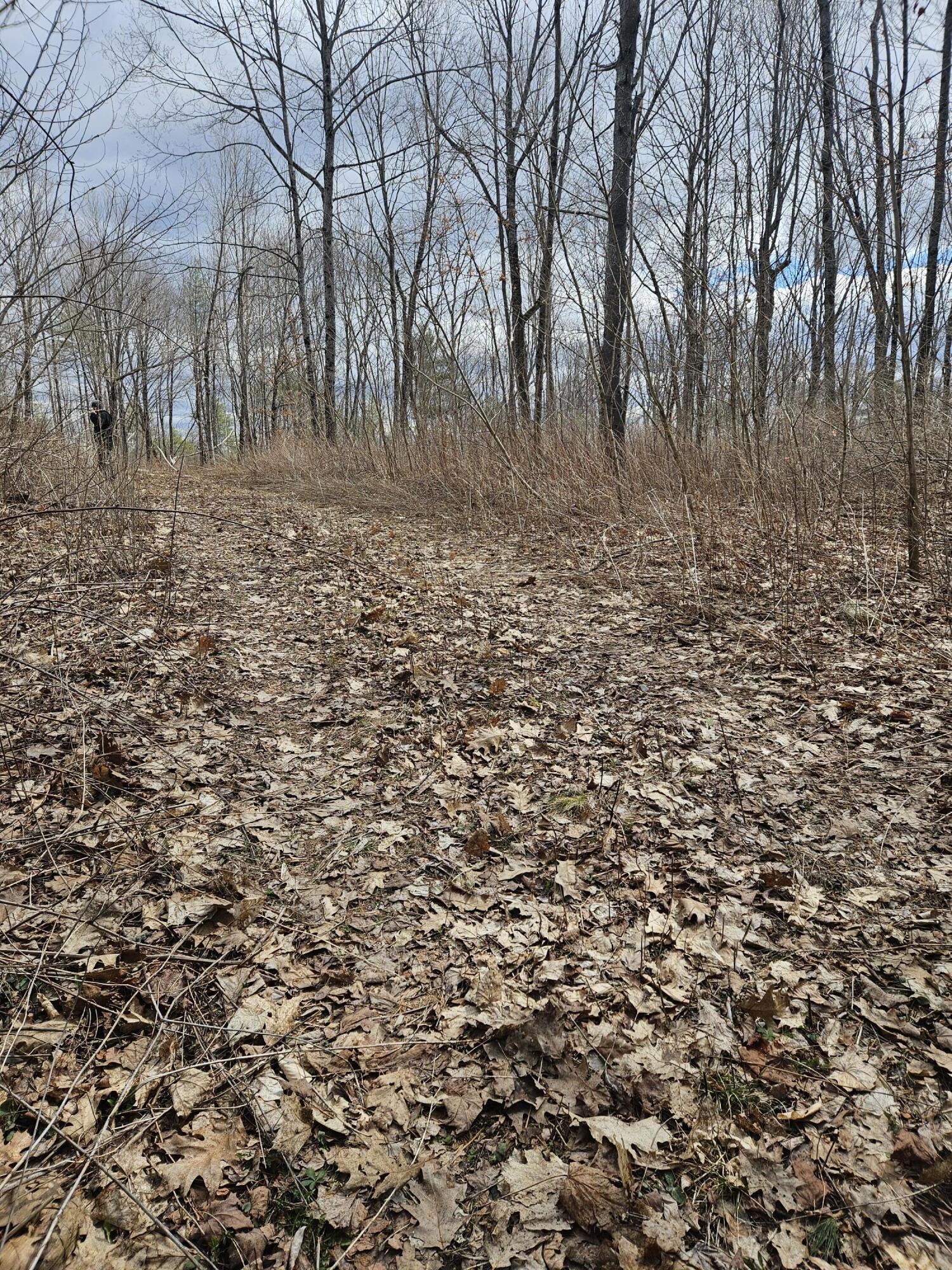 Lot 113-2 Cushman Road, Winslow, ME, 04901