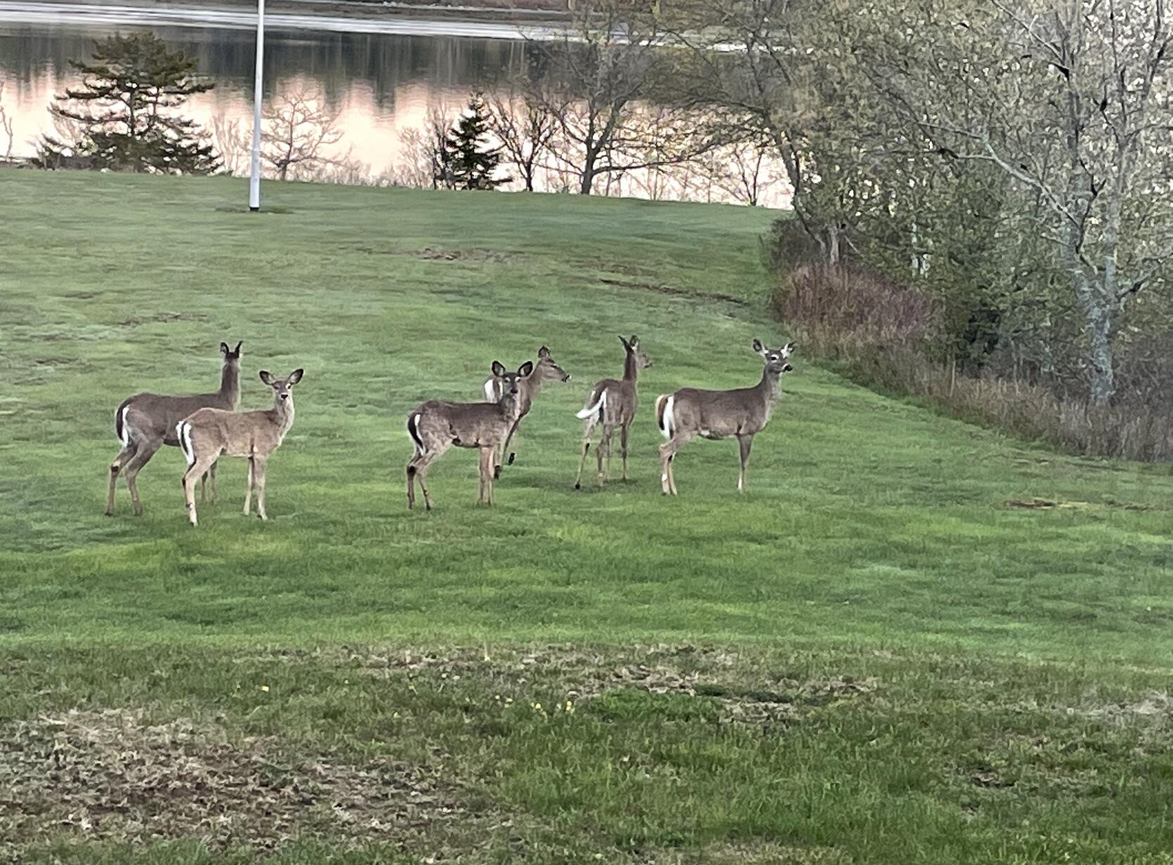 561 Bayside Road, Ellsworth, ME, 04605