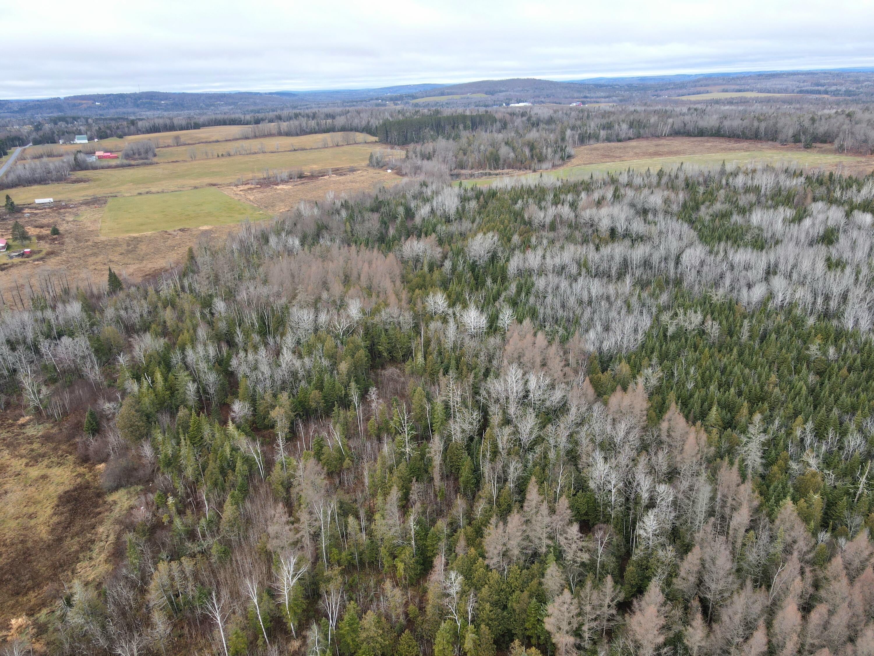 481 Plante Road, Caribou, ME, 04736