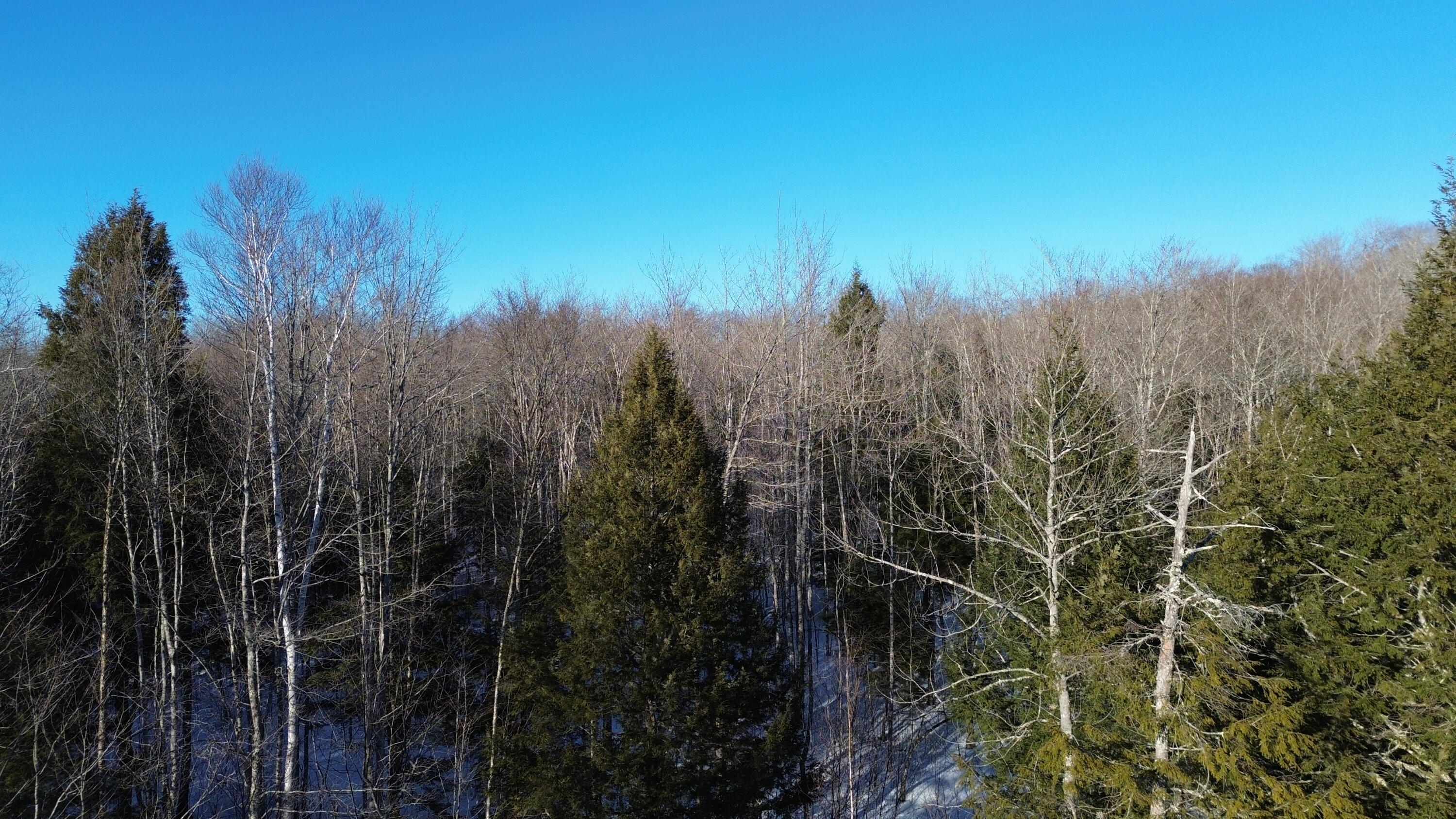 M7L22 Nelson Ridge Road N, Washington, ME, 04574