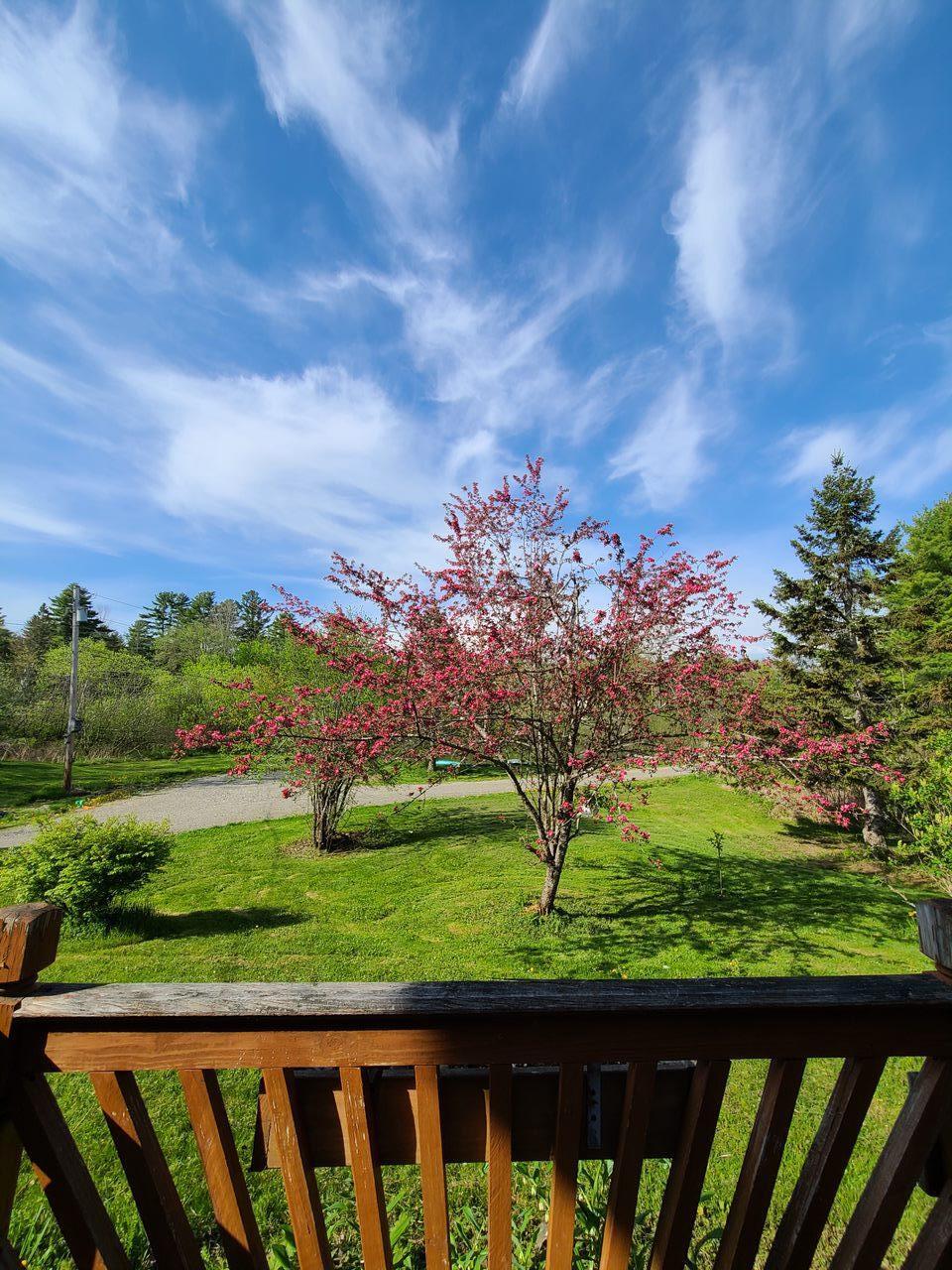 View to Driveway