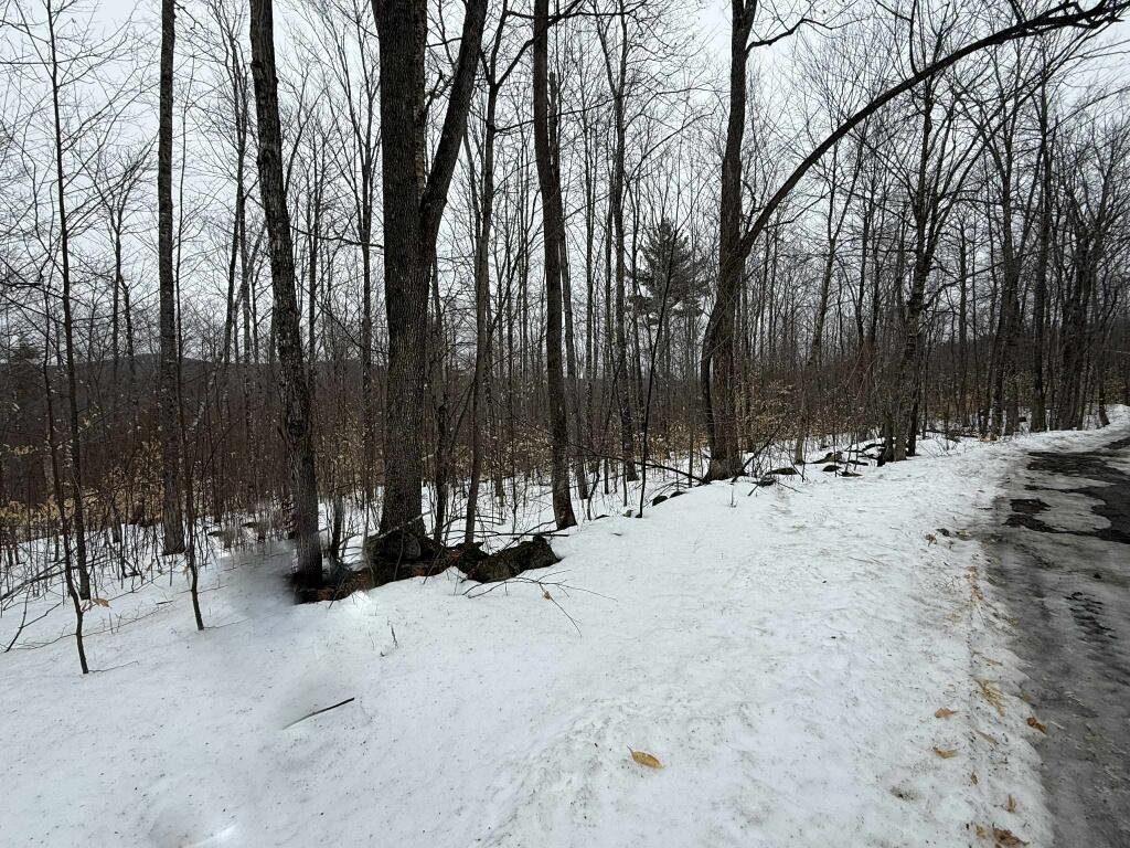 Lot 005 Greenwood Brook Road, Industry, ME, 04938