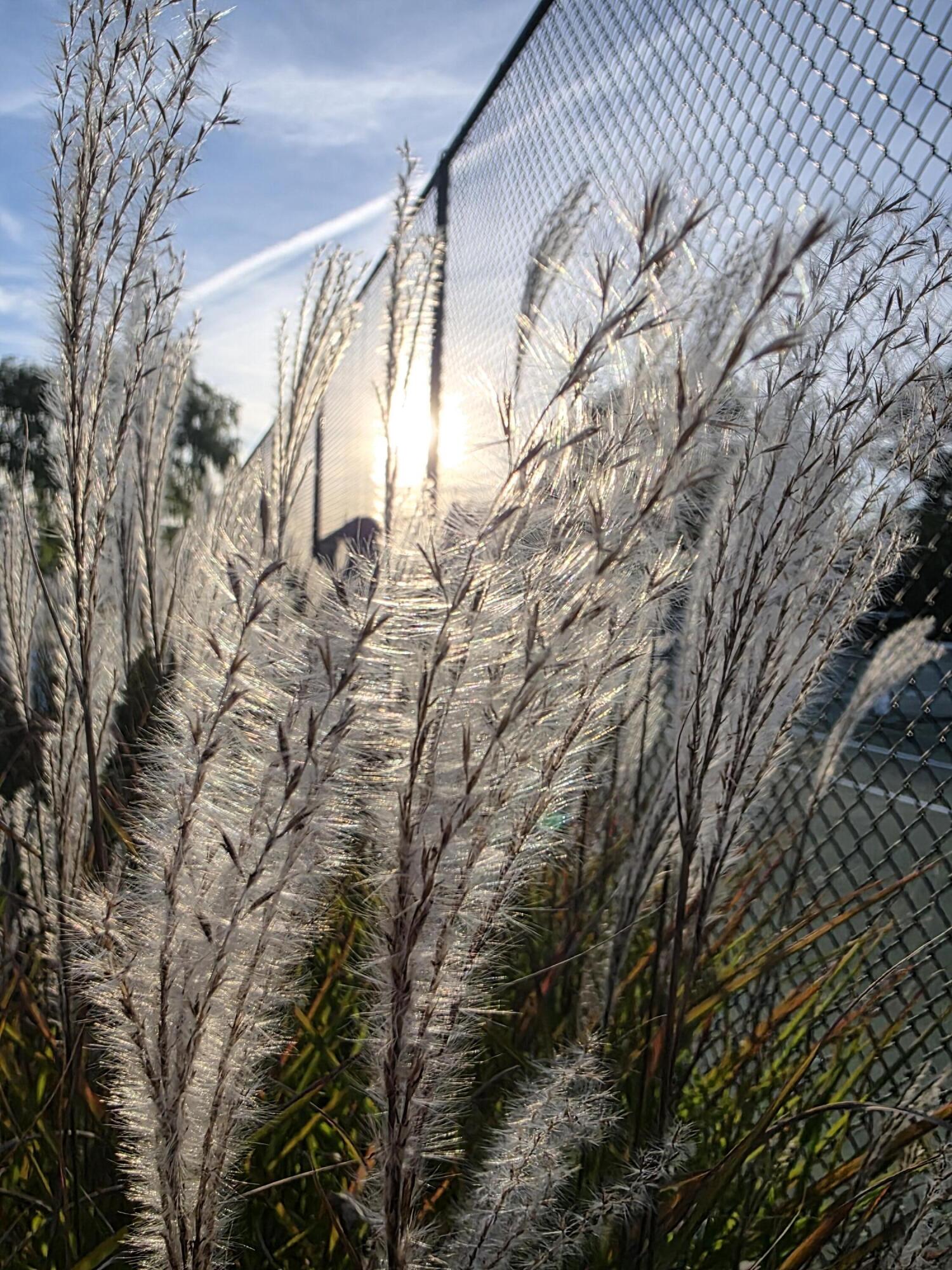 147 Beach Avenue UNIT 42, Kennebunk, ME, 04043