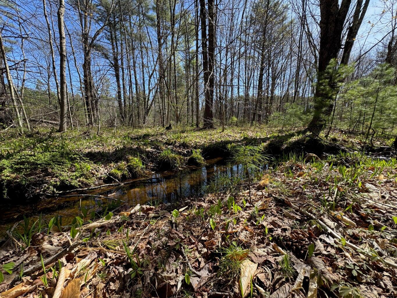 0 Scarlet Way, Lebanon, ME, 04027