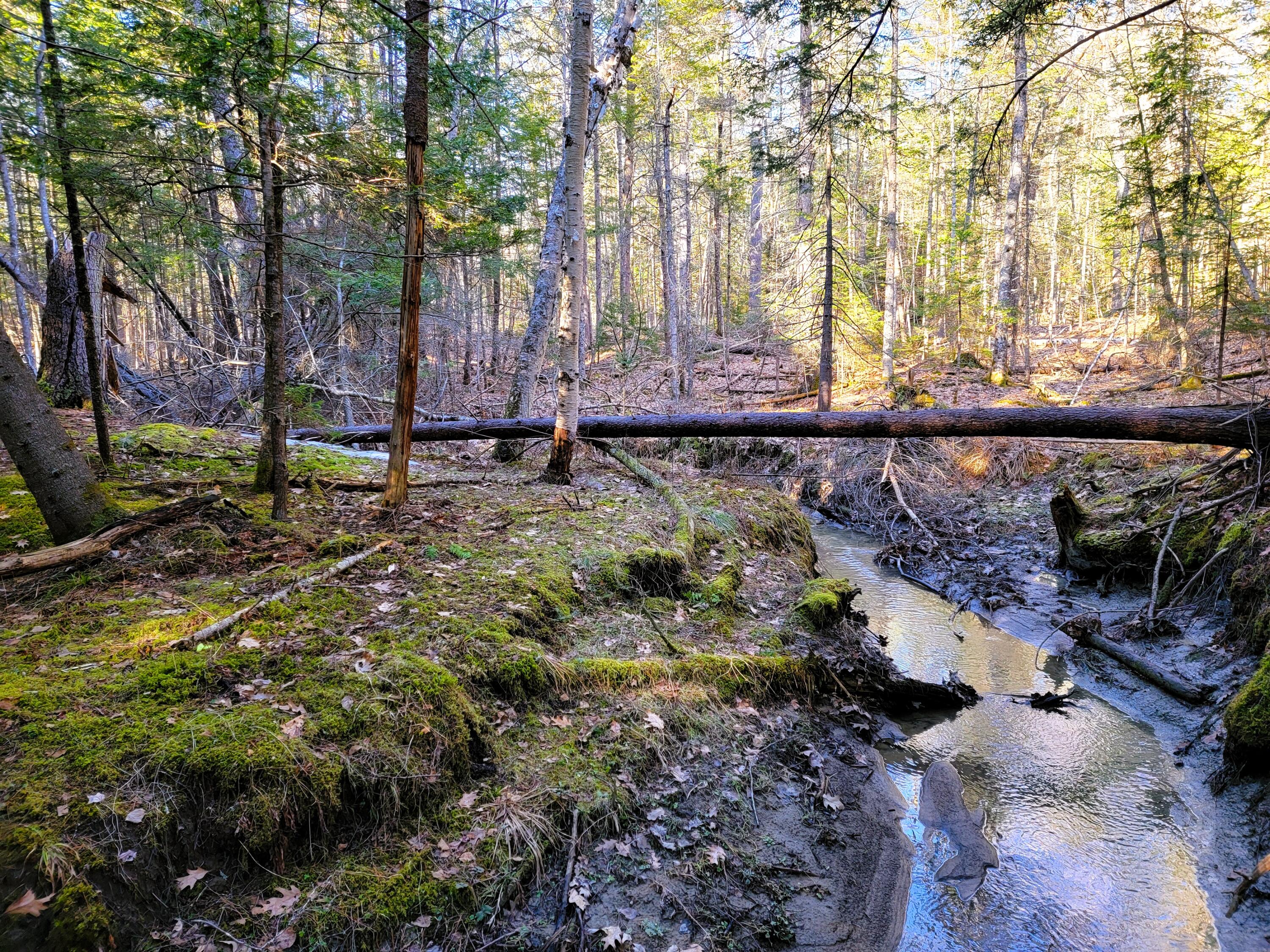 0 Redding Lane, Freeport, ME, 04032