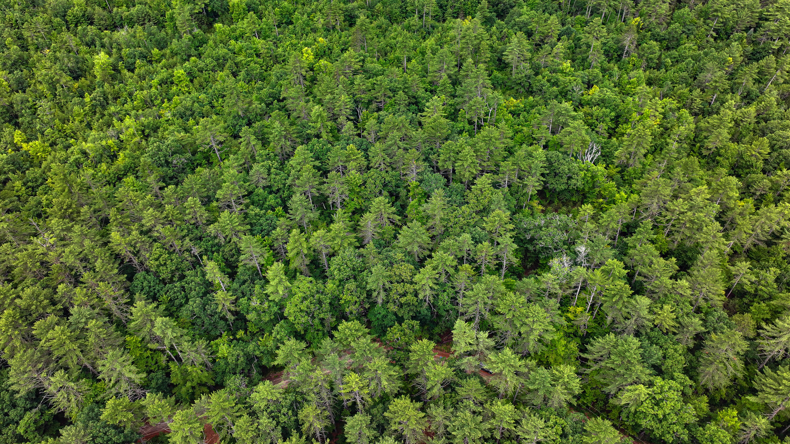 62-B Long Pond Drive, Denmark, ME, 04022