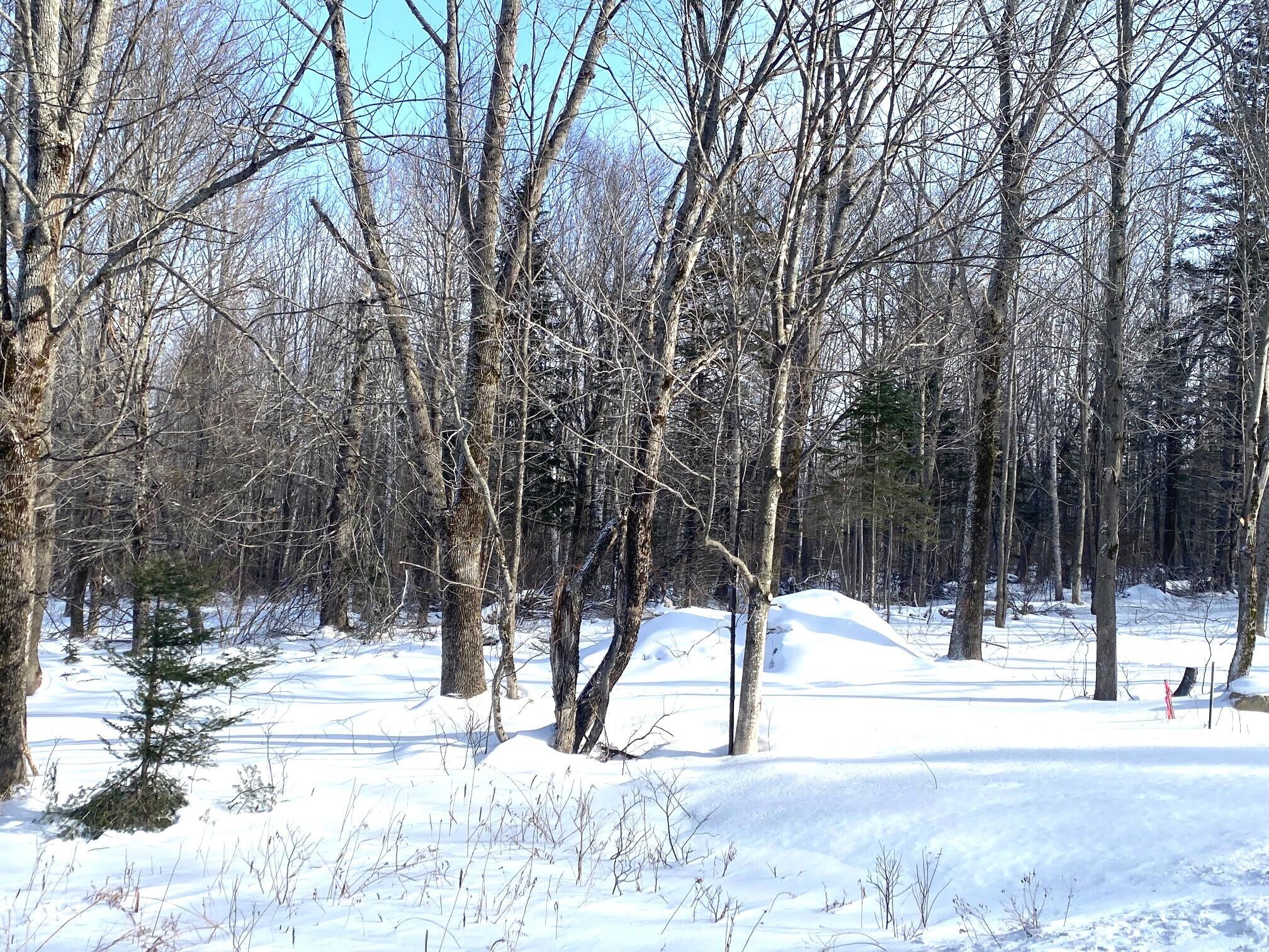 Lot 4 Julian Road, Lubec, ME, 04631
