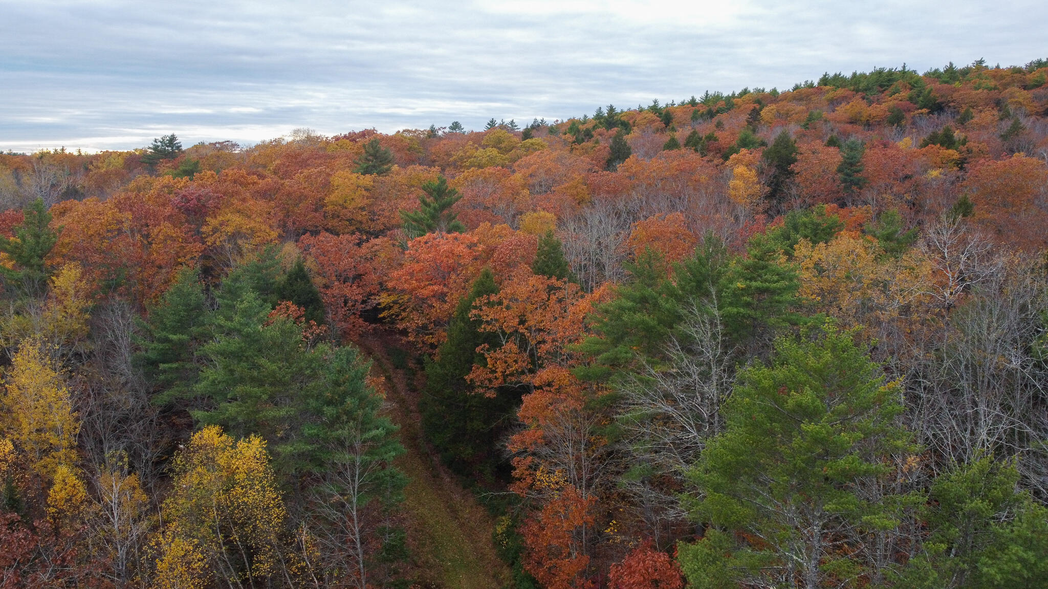 Understanding the Midcoast Maine Real Estate Market