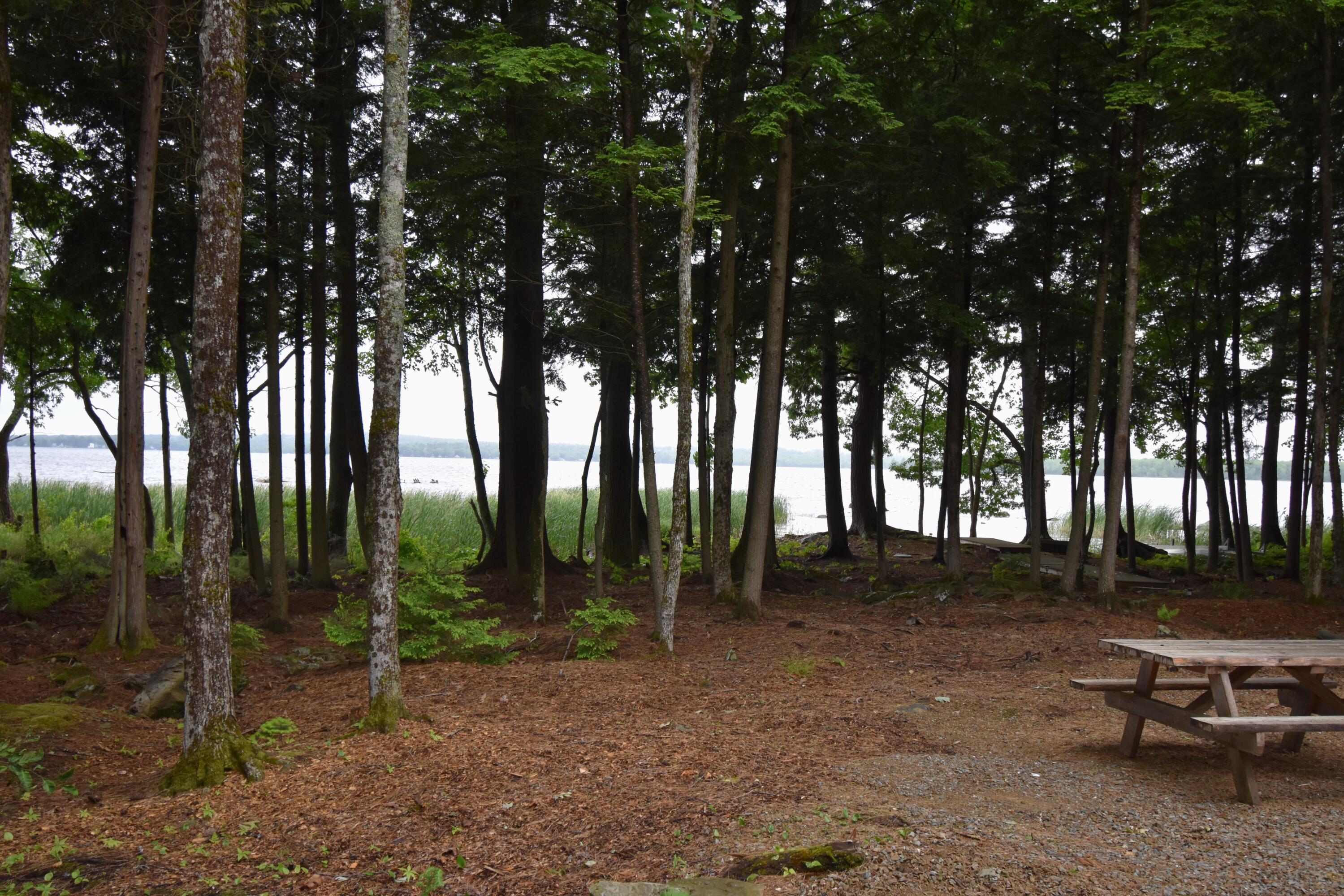 107 Shady Lane, Newport, ME, 04953