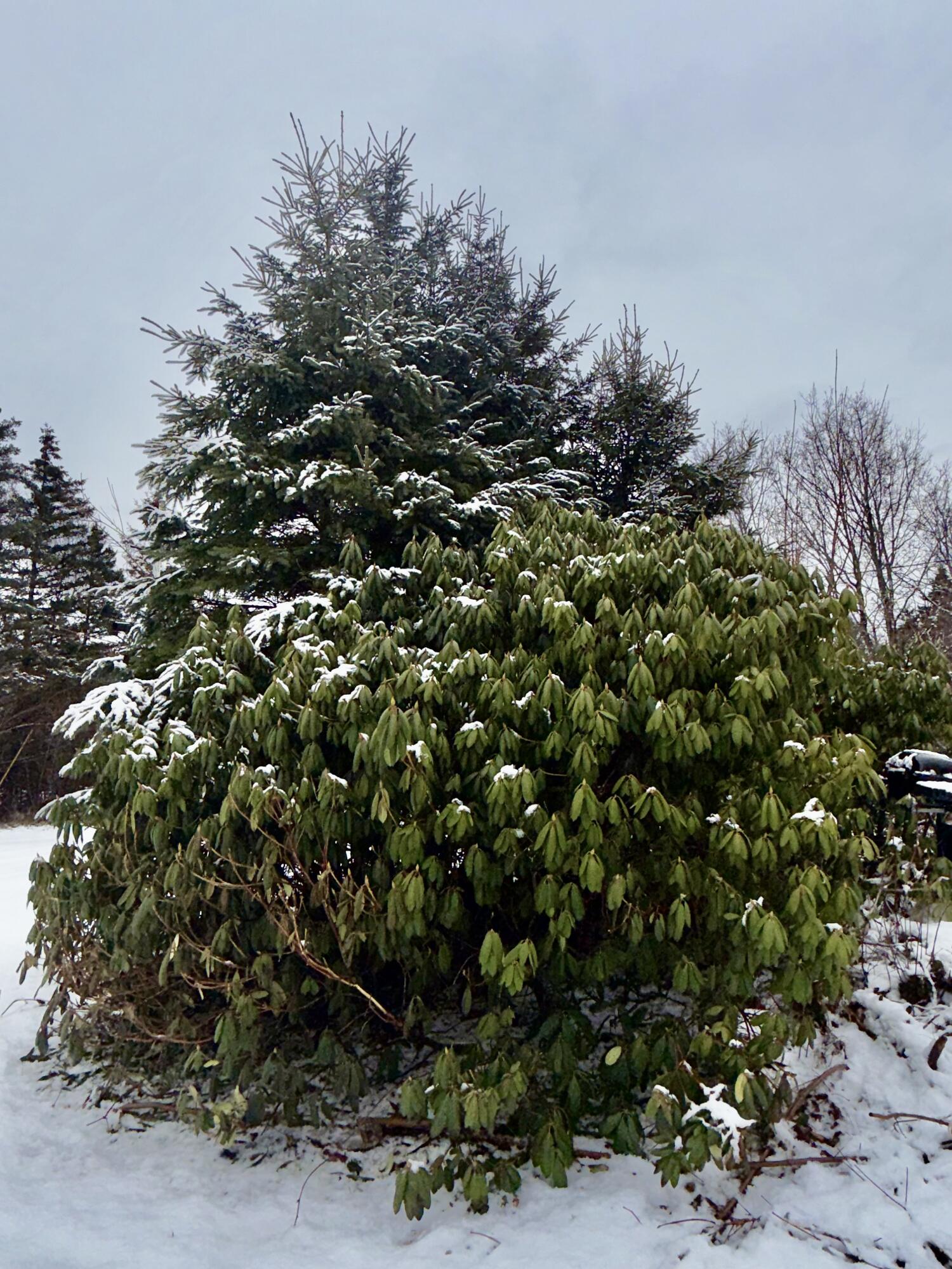 6 Case Drive, Lubec, ME, 04652