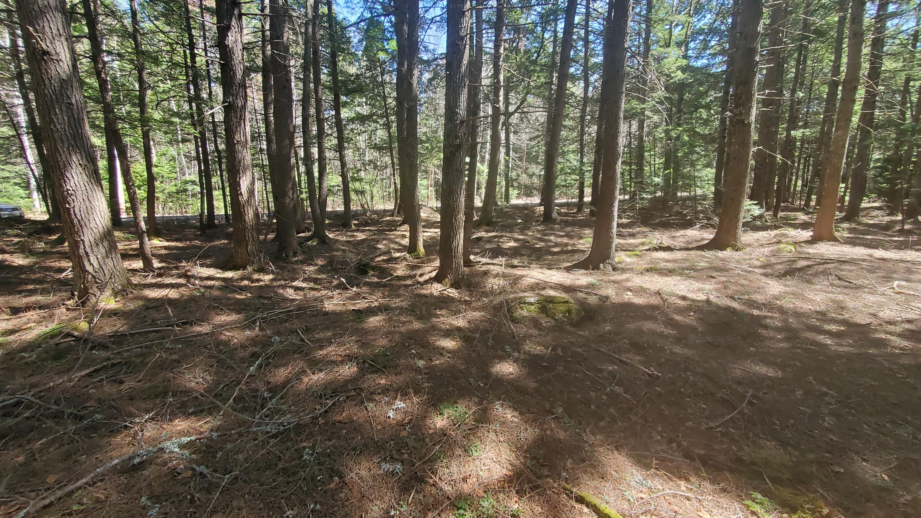 307 Lakeville Shores Road, Lakeville, ME, 04487