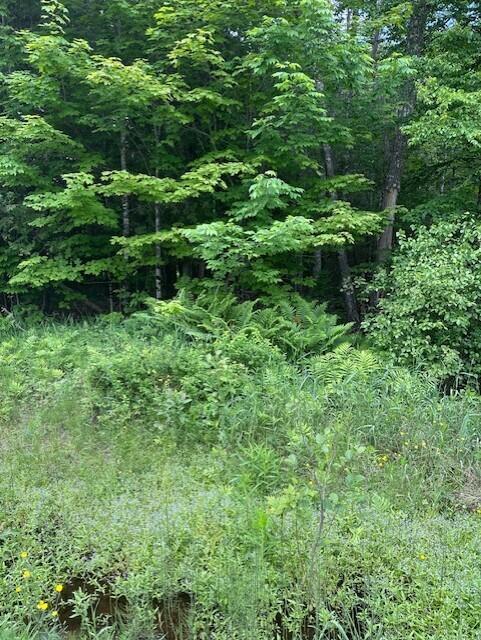 3-3-A Avenue Road, Corinth, ME, 04427