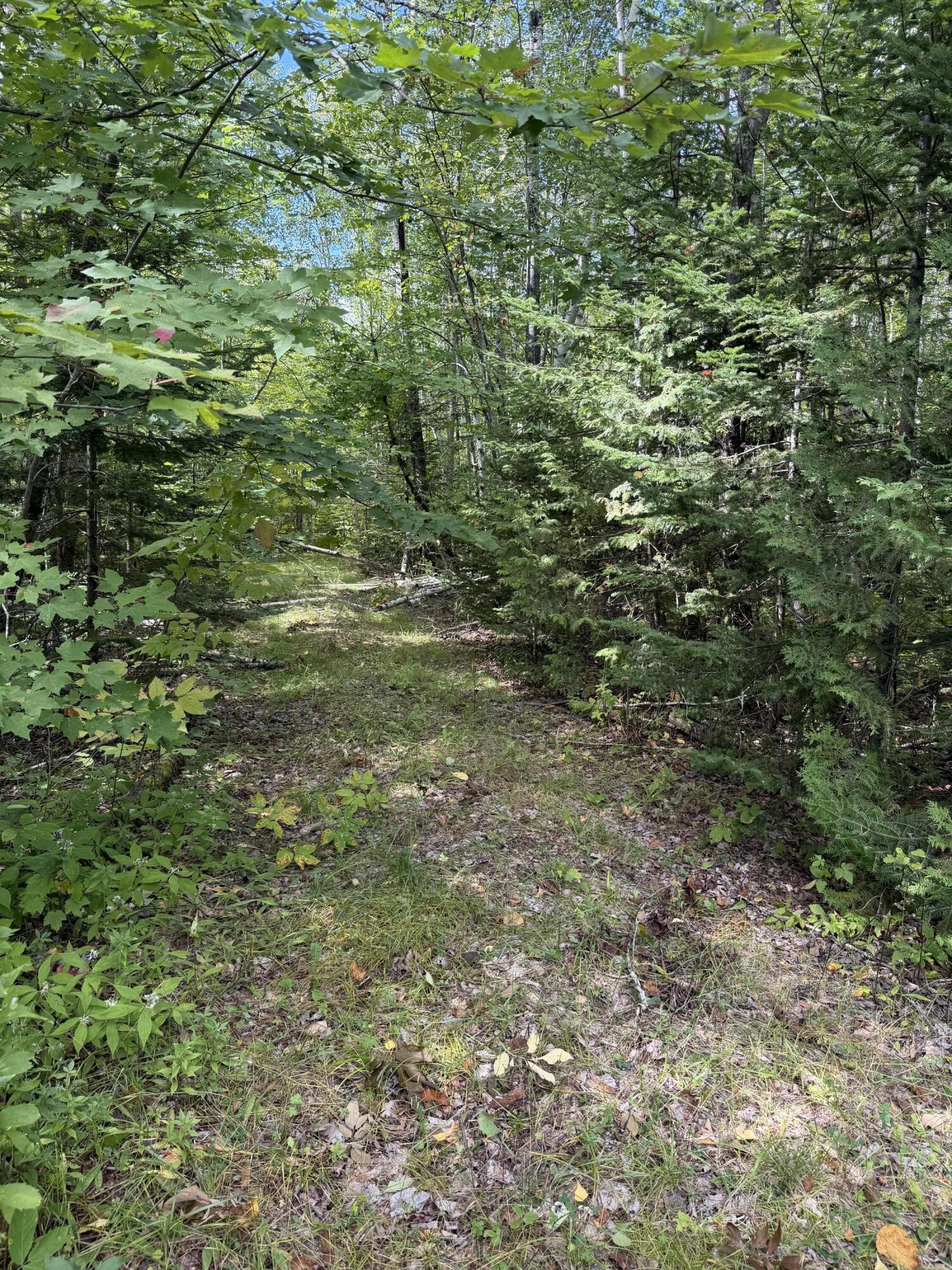 Photo of M1 L74 Lyford Road Orneville Twp ME 04463