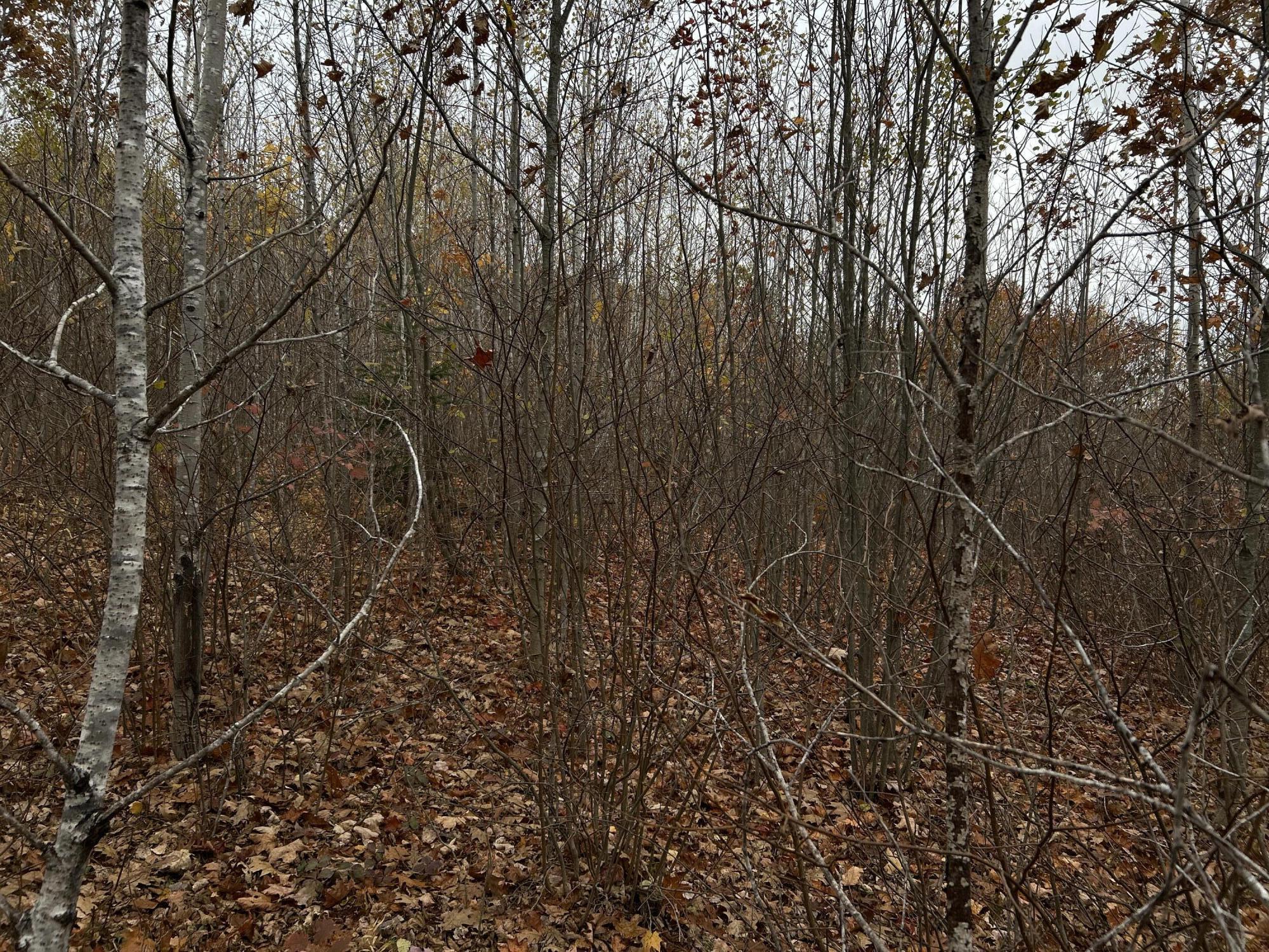 M4L18 Bog Road, Jackson, ME, 04921