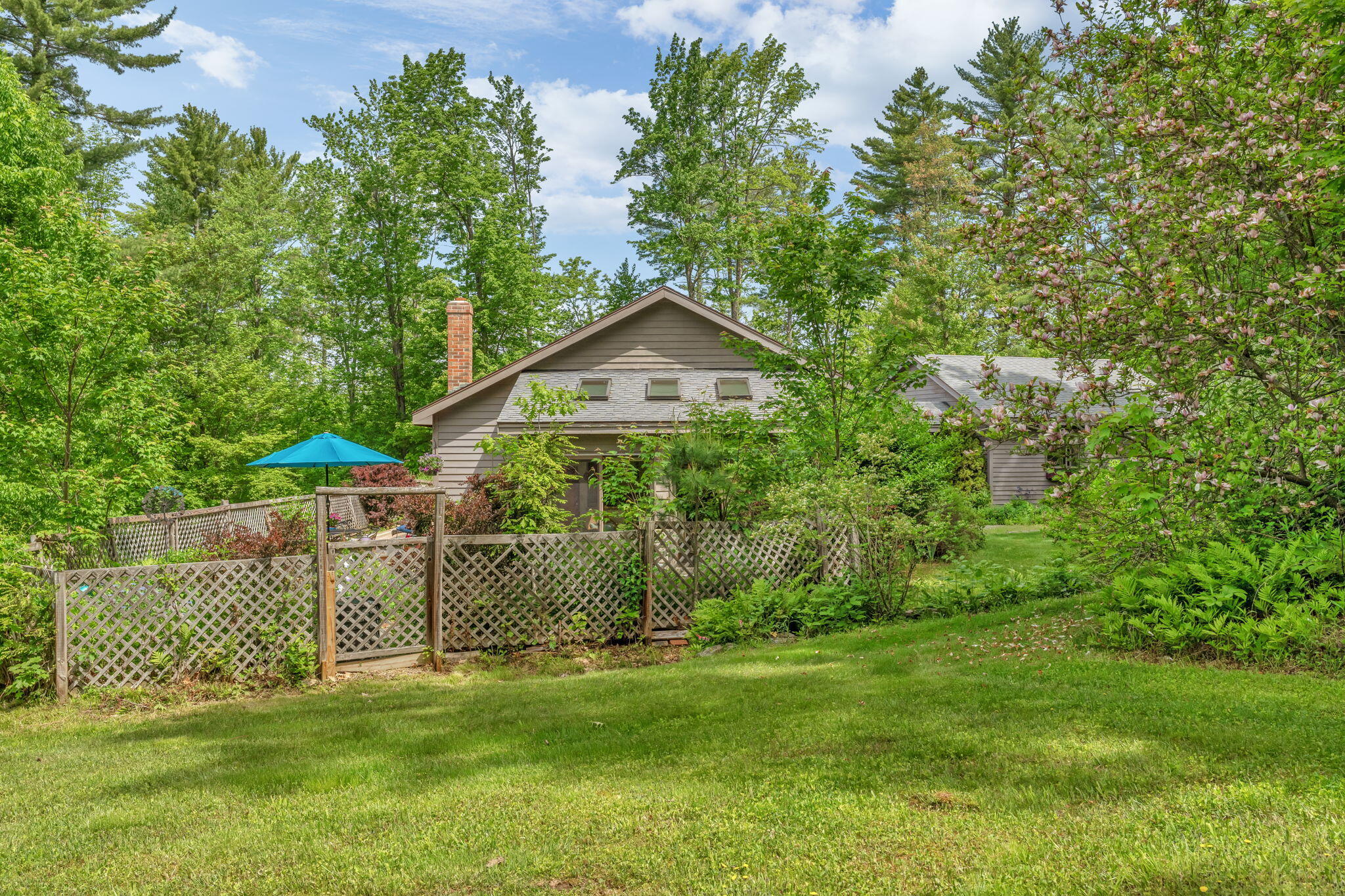 22-web-or-mls-15-raspberry-rd