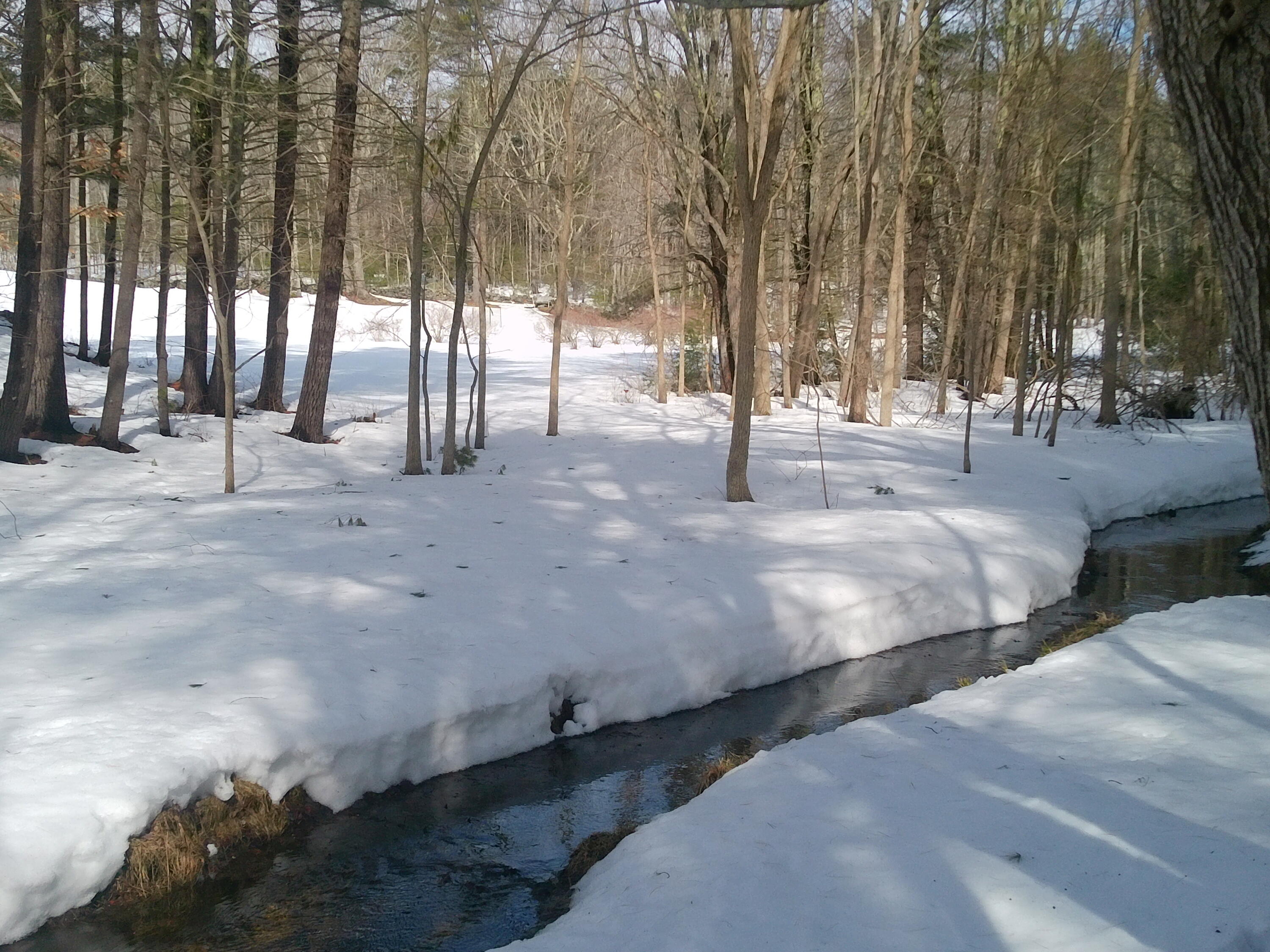 473 Tatnic Road, Wells, ME, 04090