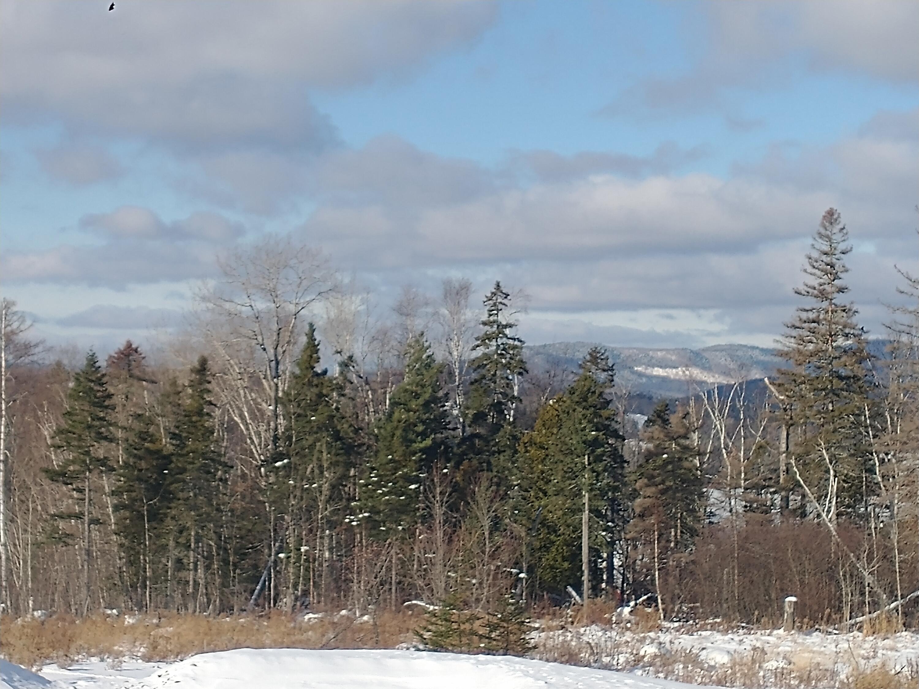 Lot 6 Eva D Lane, Rangeley, ME, 04970