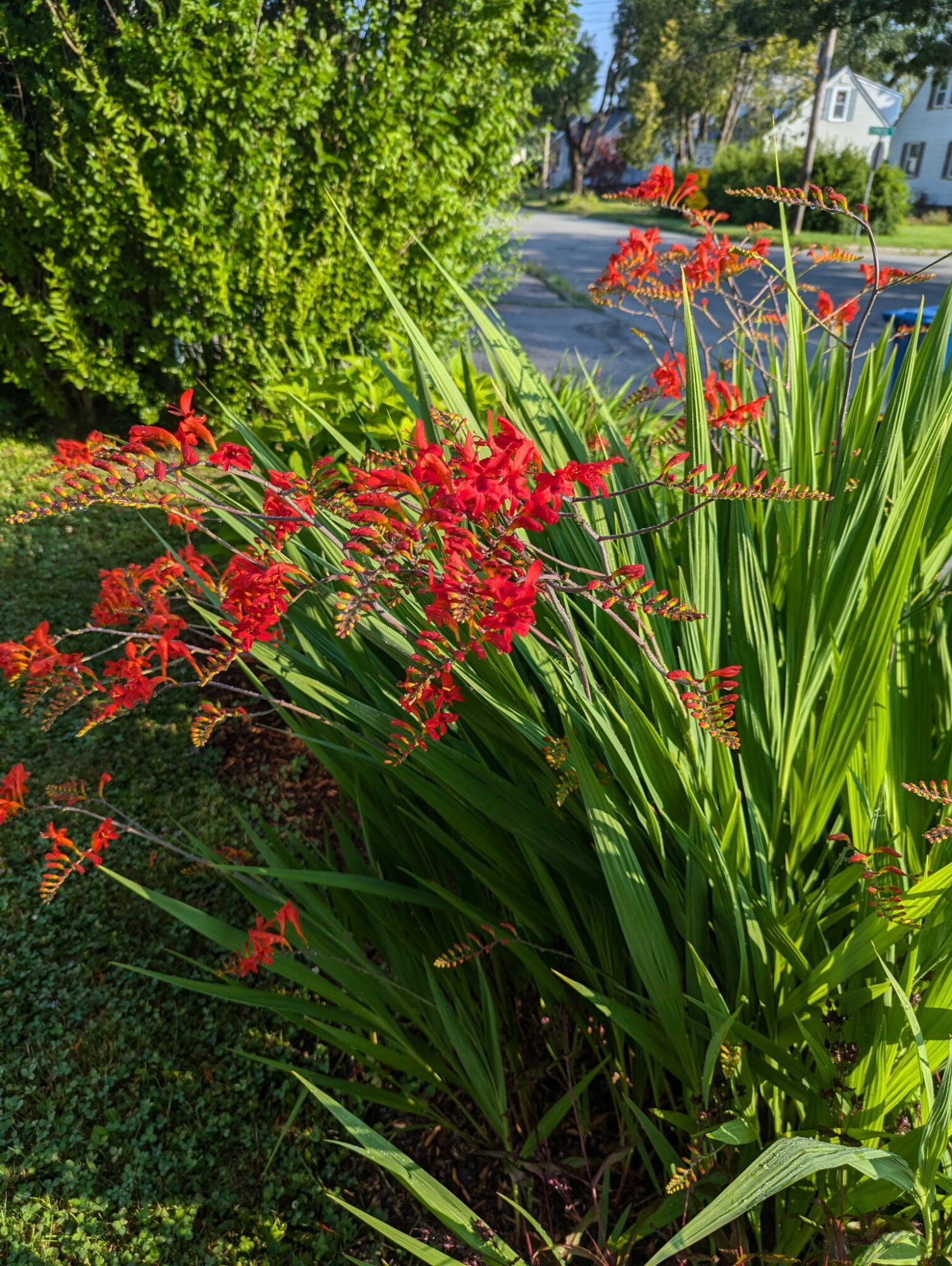 48 Pennell Avenue, Portland, ME, 04103