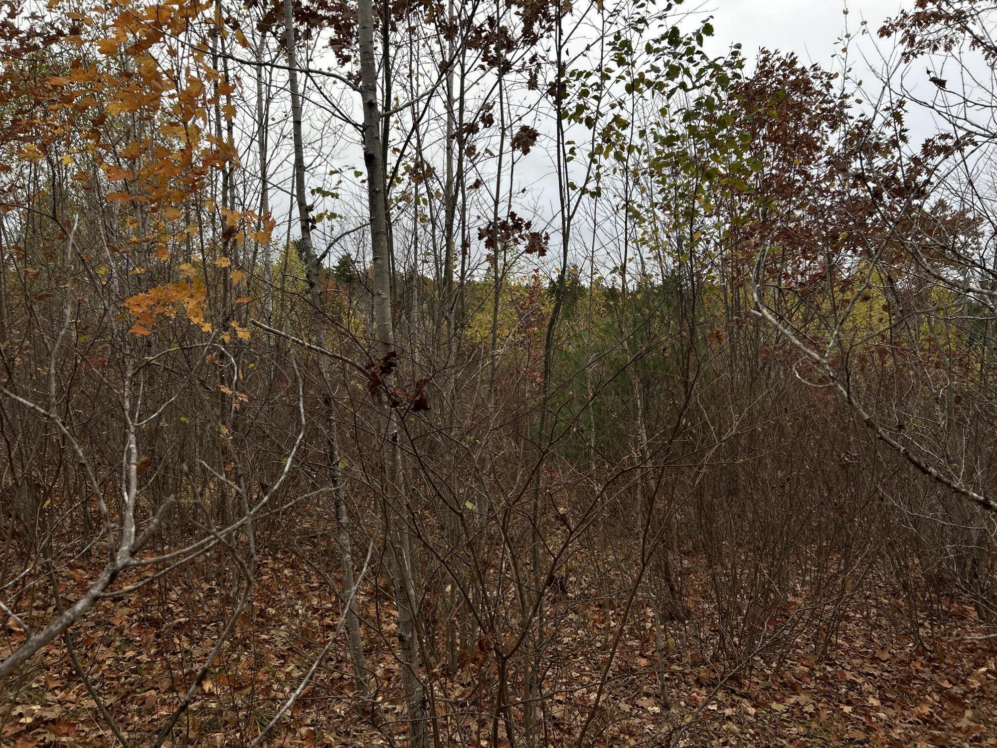 M4L18 Bog Road, Jackson, ME, 04921