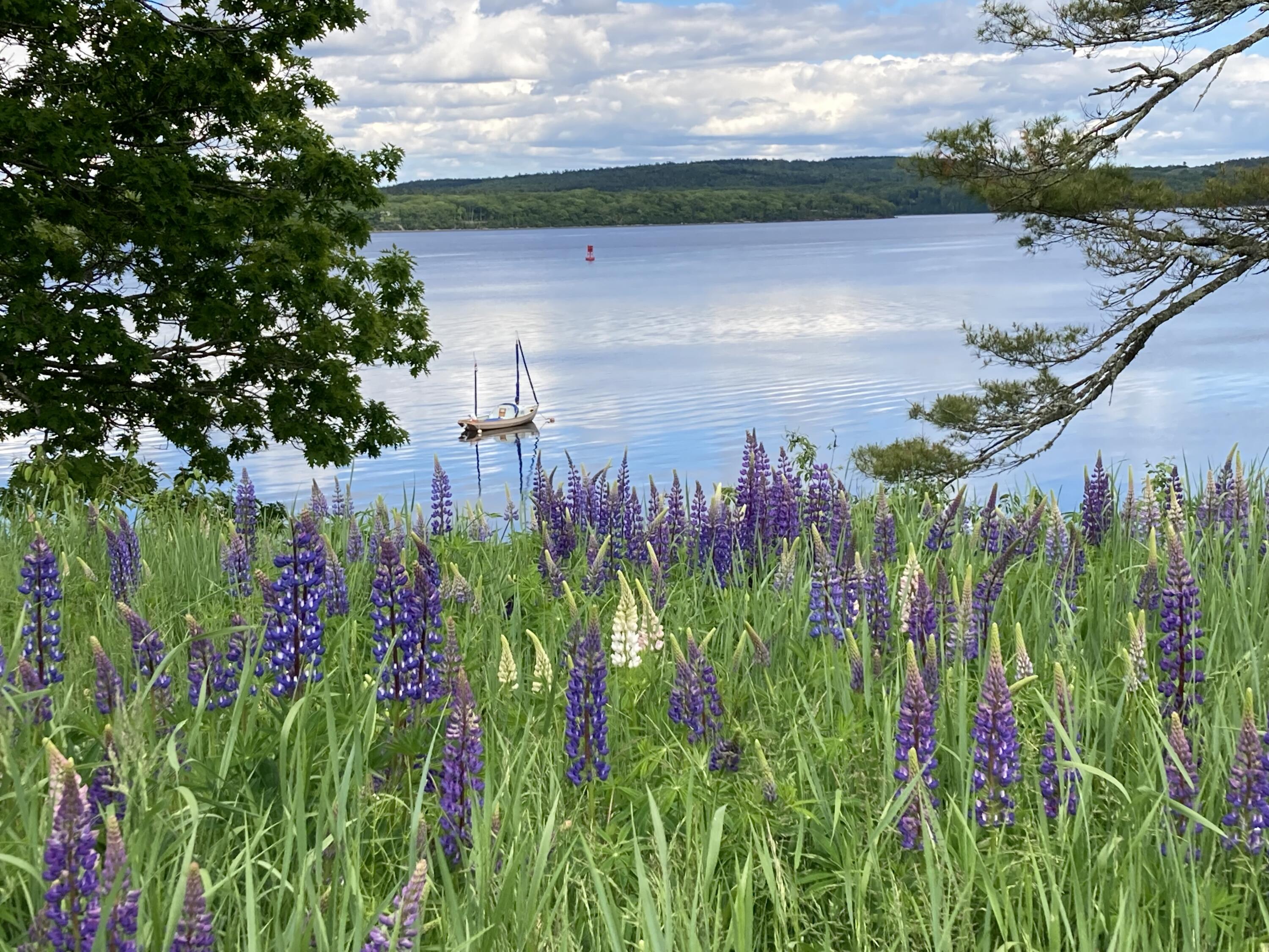 22 Bayview Drive, Stockton Springs, ME, 04981