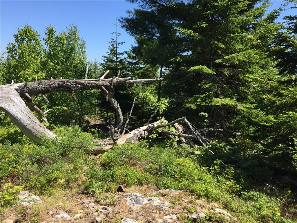 65 Lookout Mountain Road, East Machias, ME, 04630