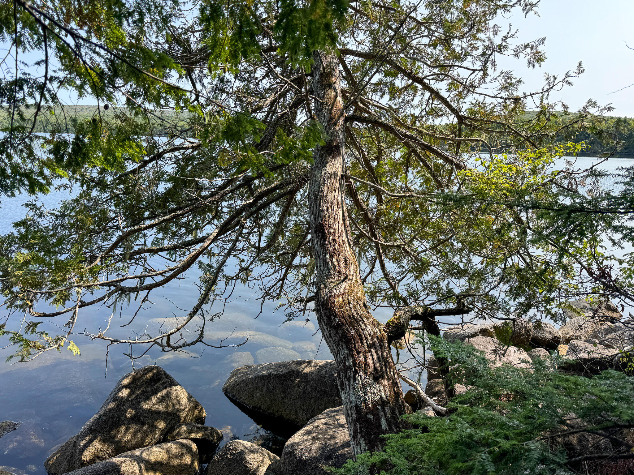 P/O M29L23 Bluff Road, Enfield, ME, 04493