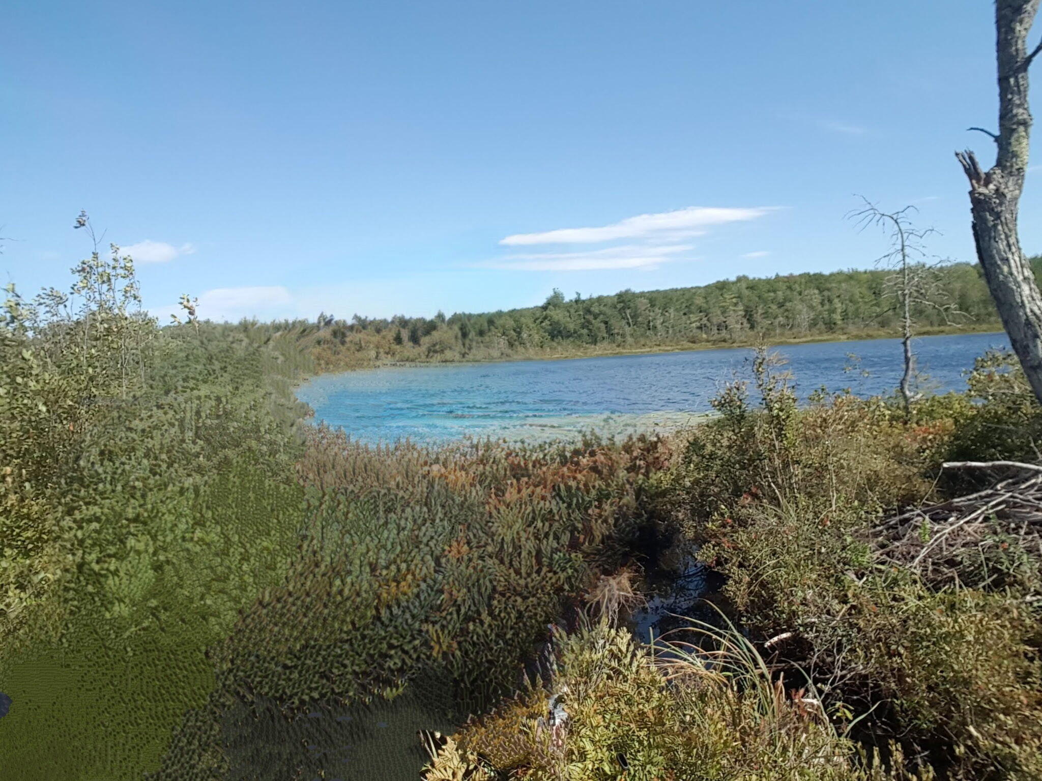 M4 96 & 99 Parker Pond Road, Jay, ME, 04239