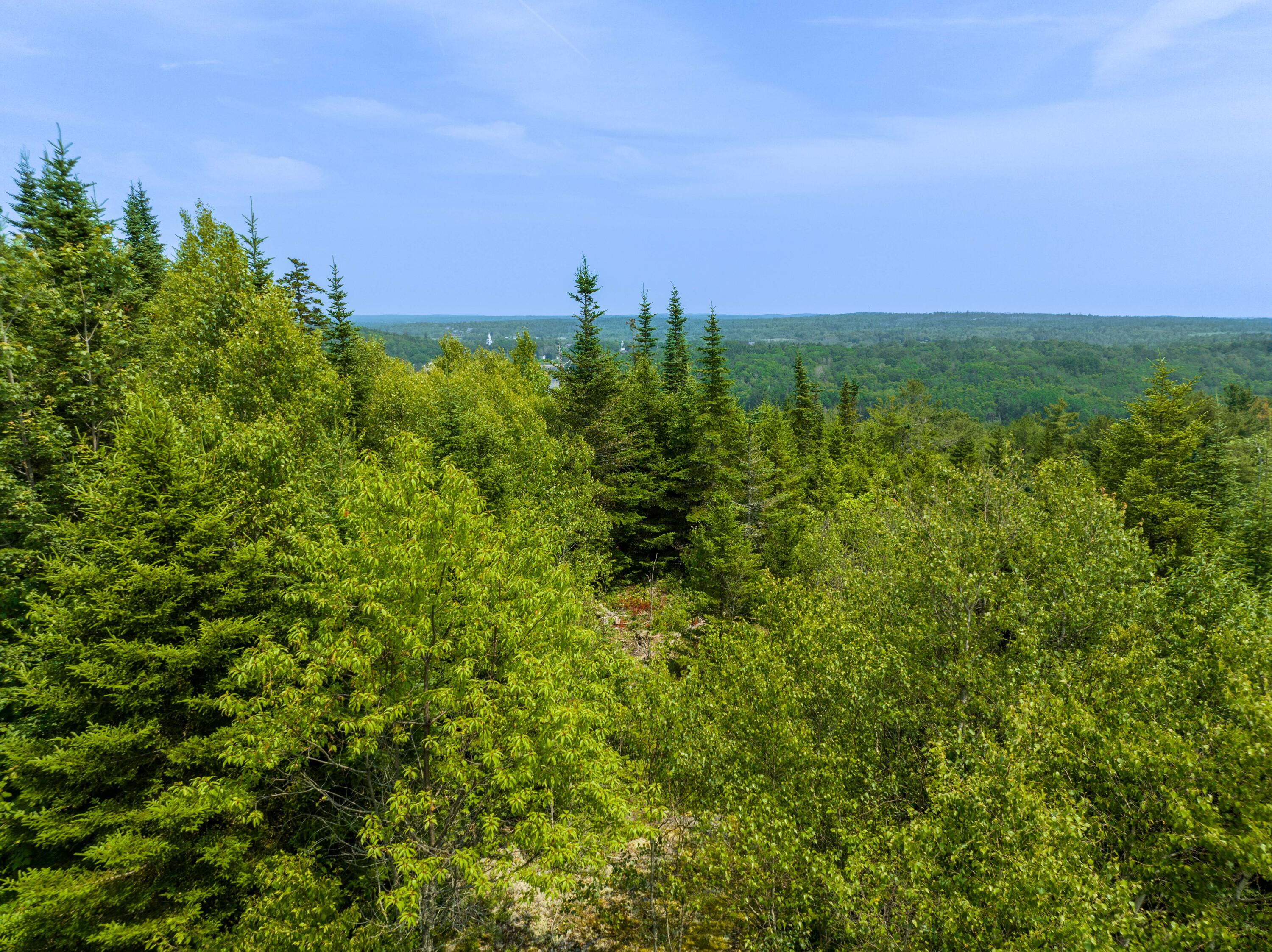 65 Lookout Mountain Road, East Machias, ME, 04630