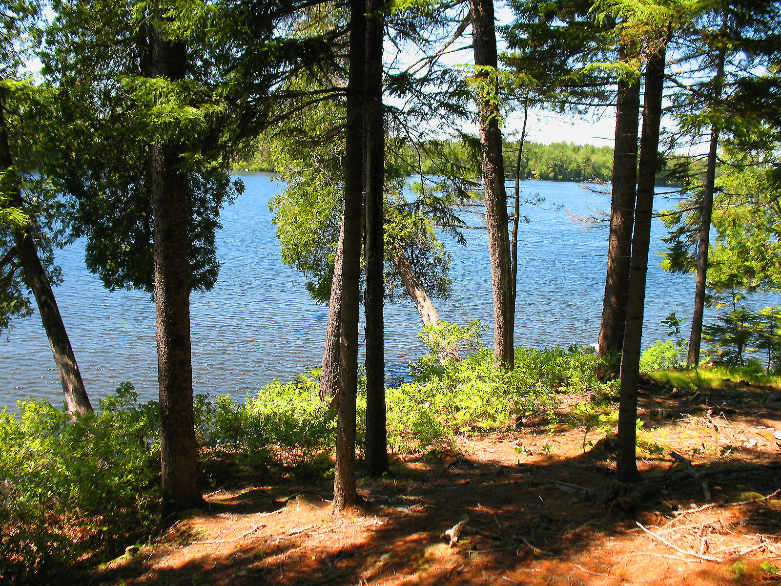 10-6 Vista Way, Mount Desert, ME, 04660