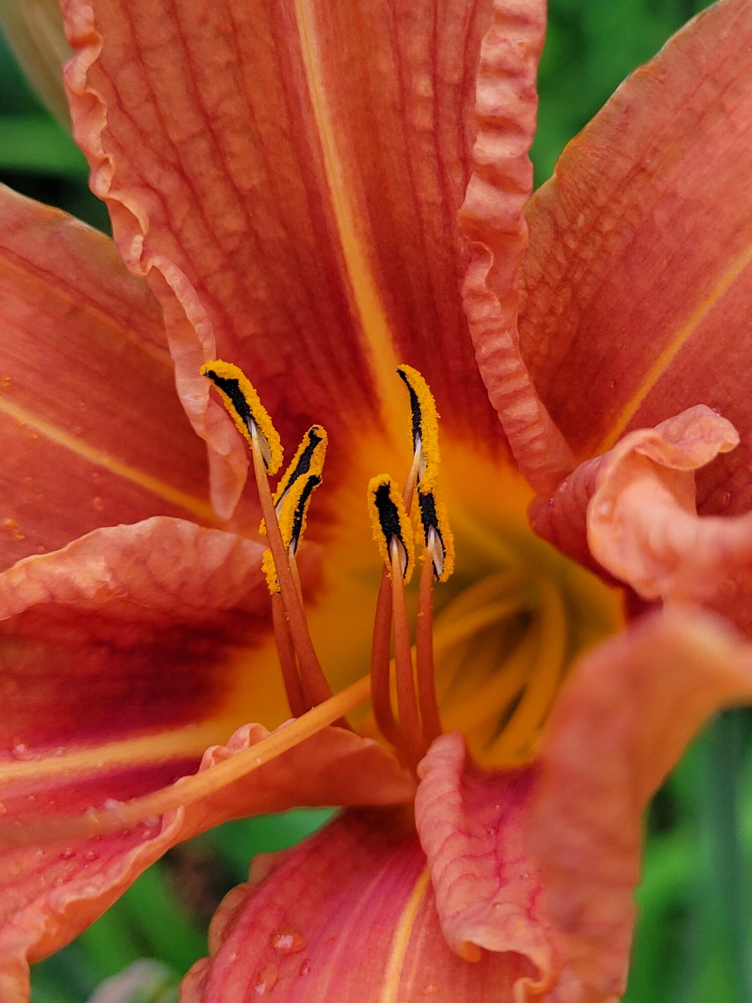 46 N Gorham Road, Gorham, ME, 04038