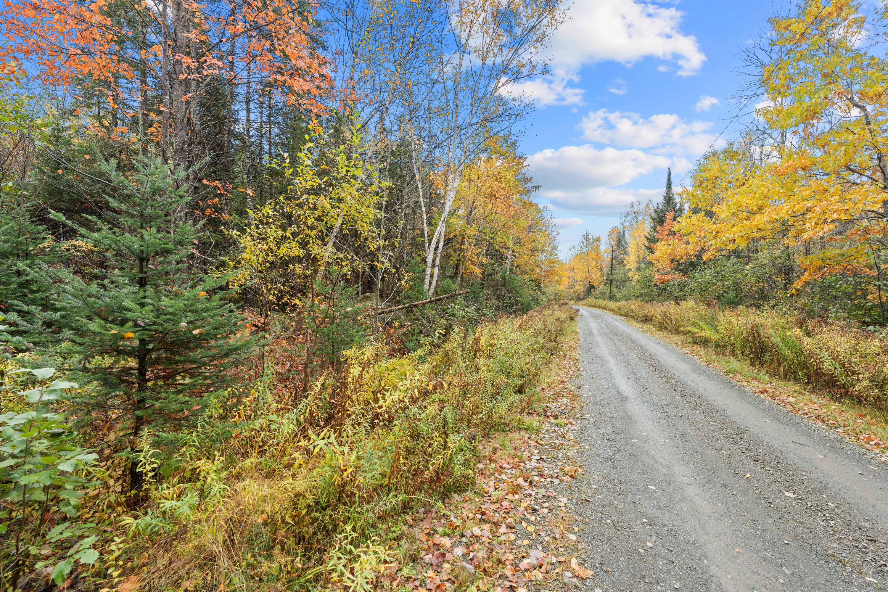 Photo of Lot #41-02 Forest Brook Drive Abbot ME 04406