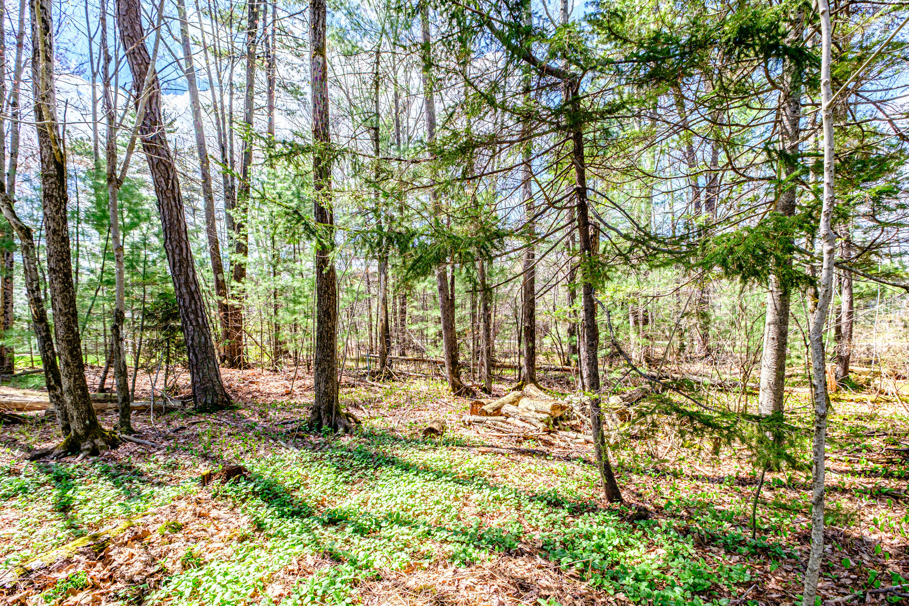 6 Coralburst Lane, Scarborough, ME, 04074 6 Coralburst Lane, Scarborough, ME, 04074