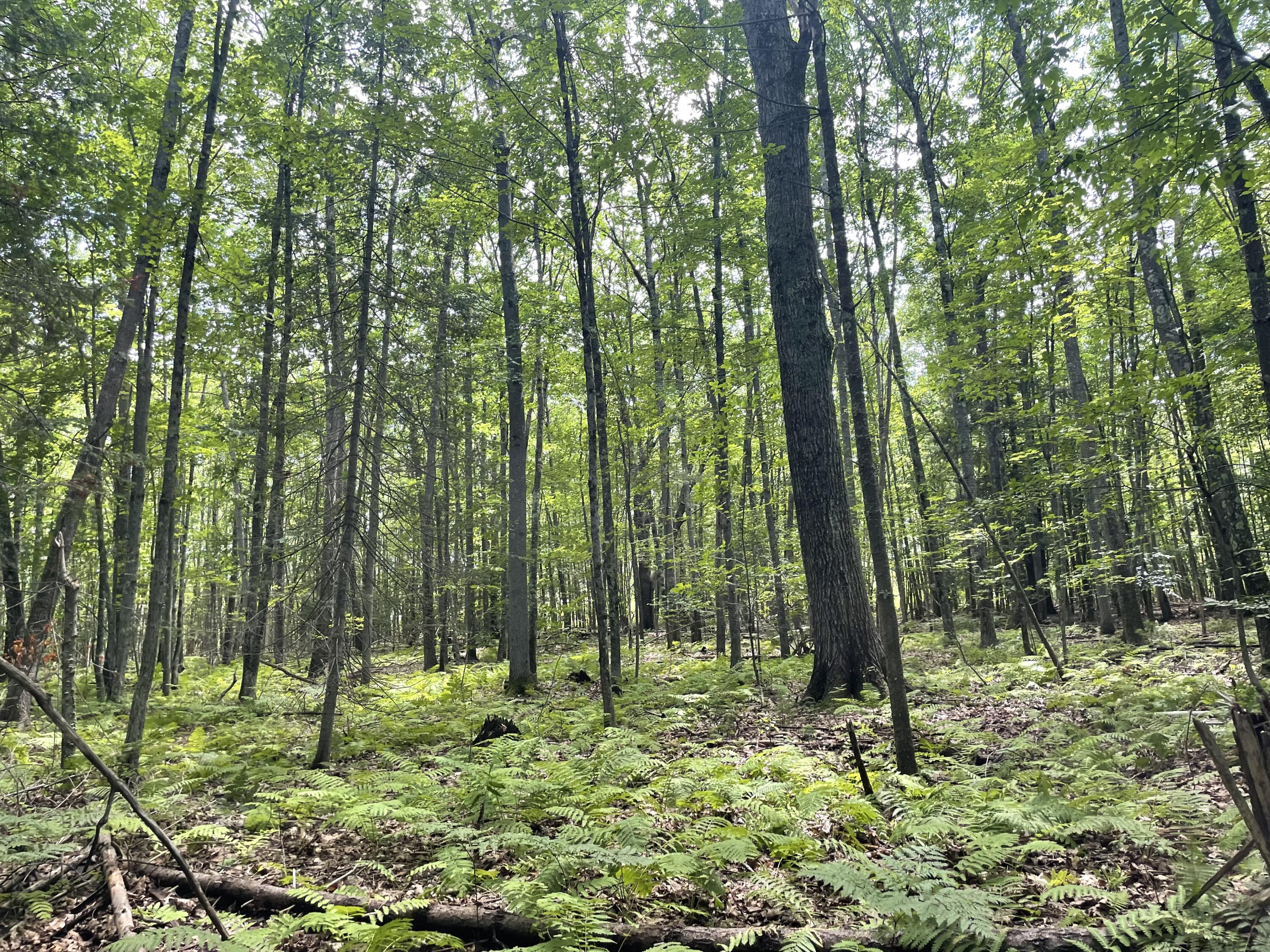 0 Cross Street, Manchester, ME, 04351