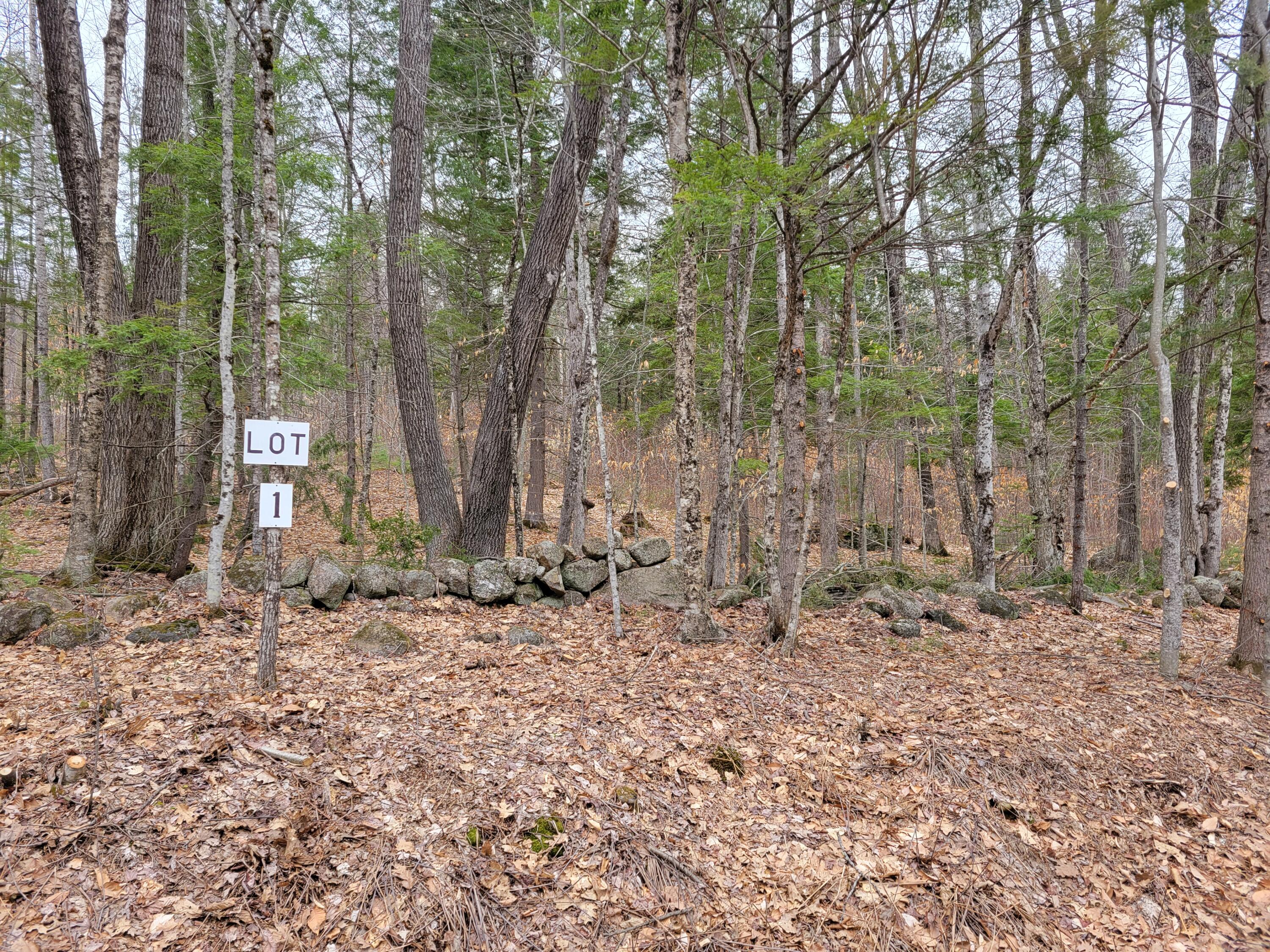 Lot UNIT&nbsp;1 W West Fryeburg Road, Fryeburg, ME, 04037