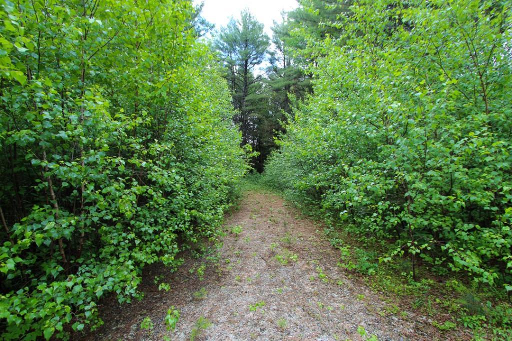 00 Cross Street, Greenwood, ME, 04255