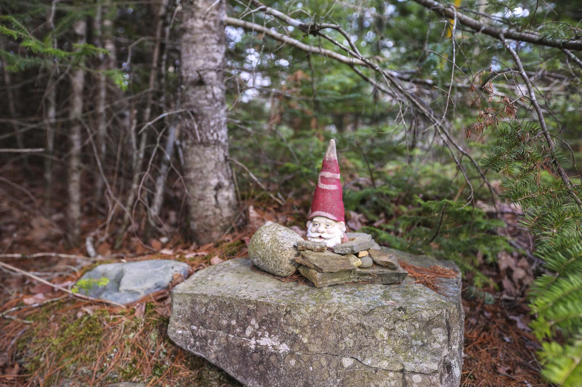 196 Woodmans Mill Road, Searsmont, ME, 04973