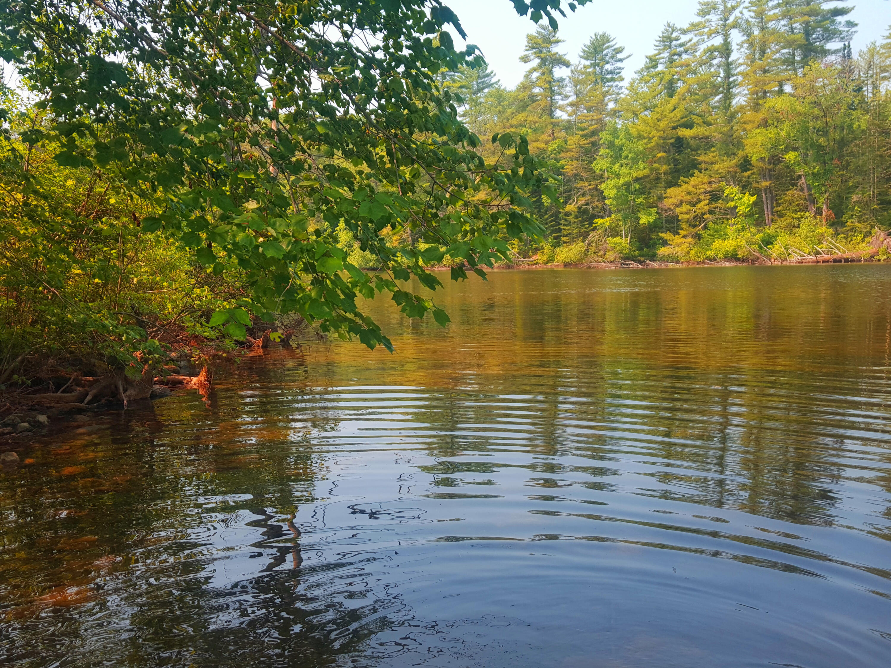 594 River Road Road, Windham, ME, 04062