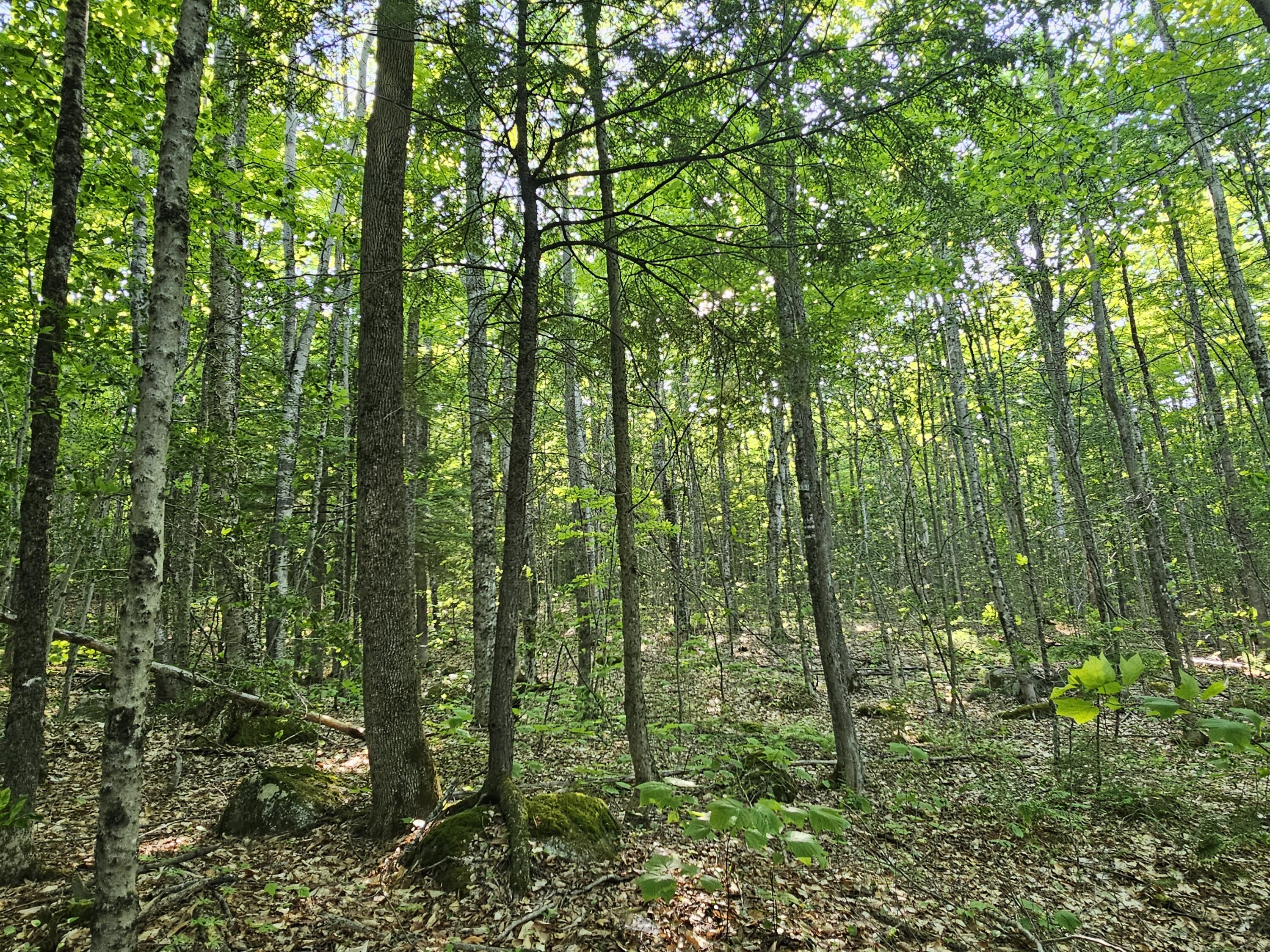 PL5,6,9,10 Great Moose Drive, Hartland, ME, 04493