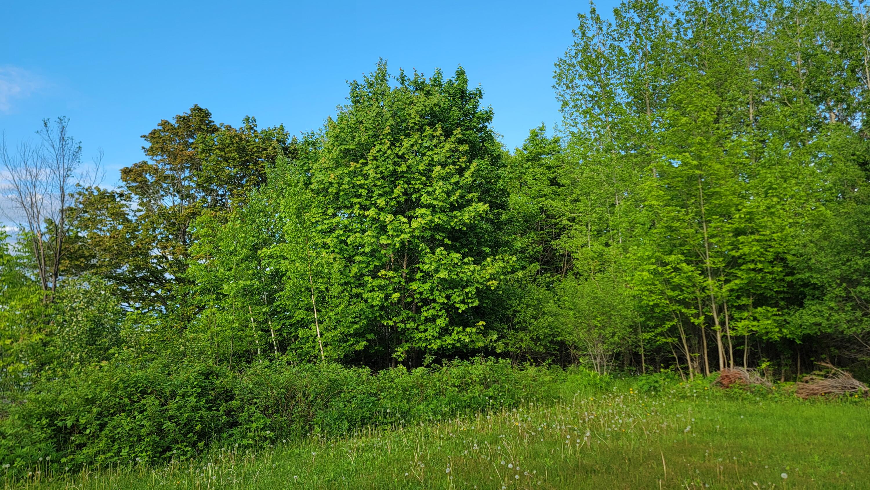 UNIT&nbsp;26&27 Main Street, Calais, ME, 04619