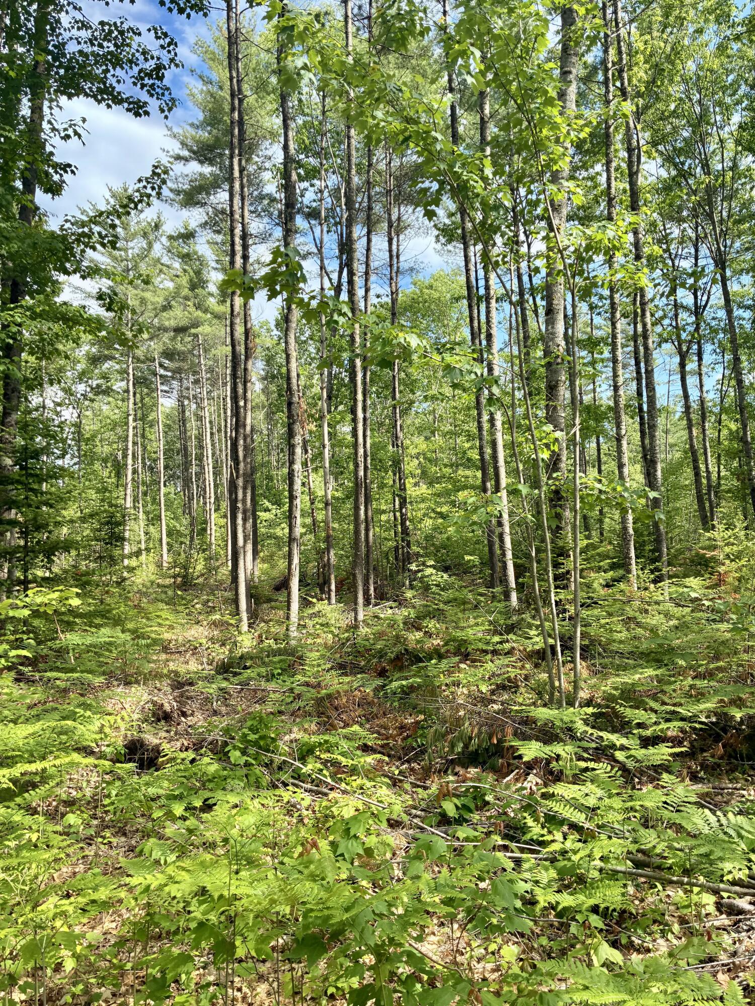 Homes For Sale In Maine Under $200,000