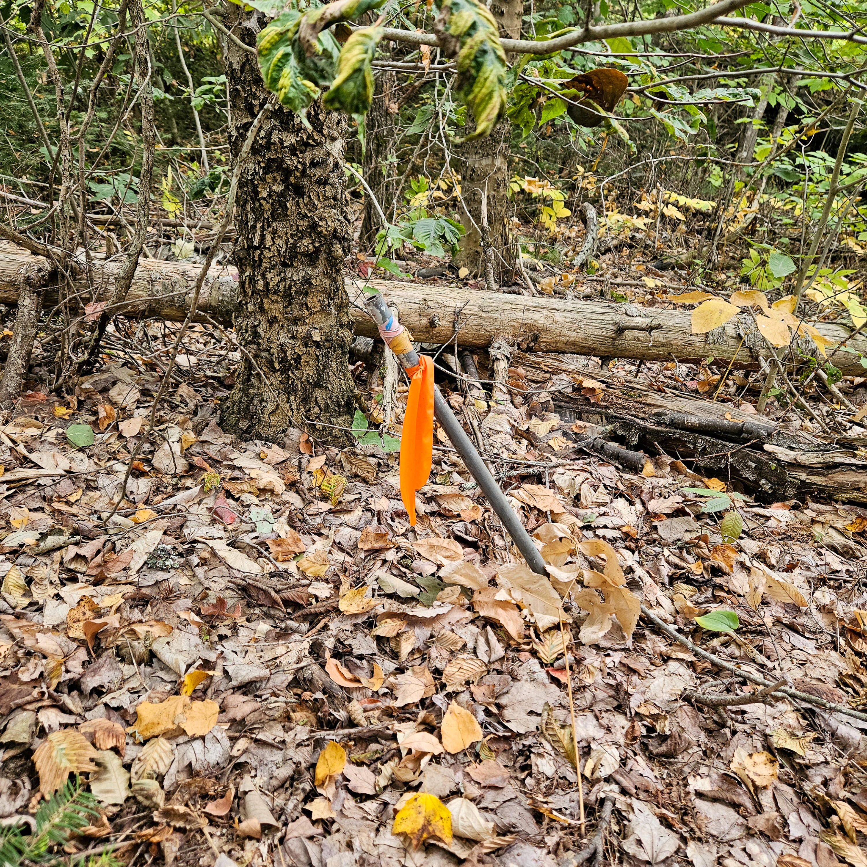 206 Morrison Farm Road, Mariaville, ME, 04605