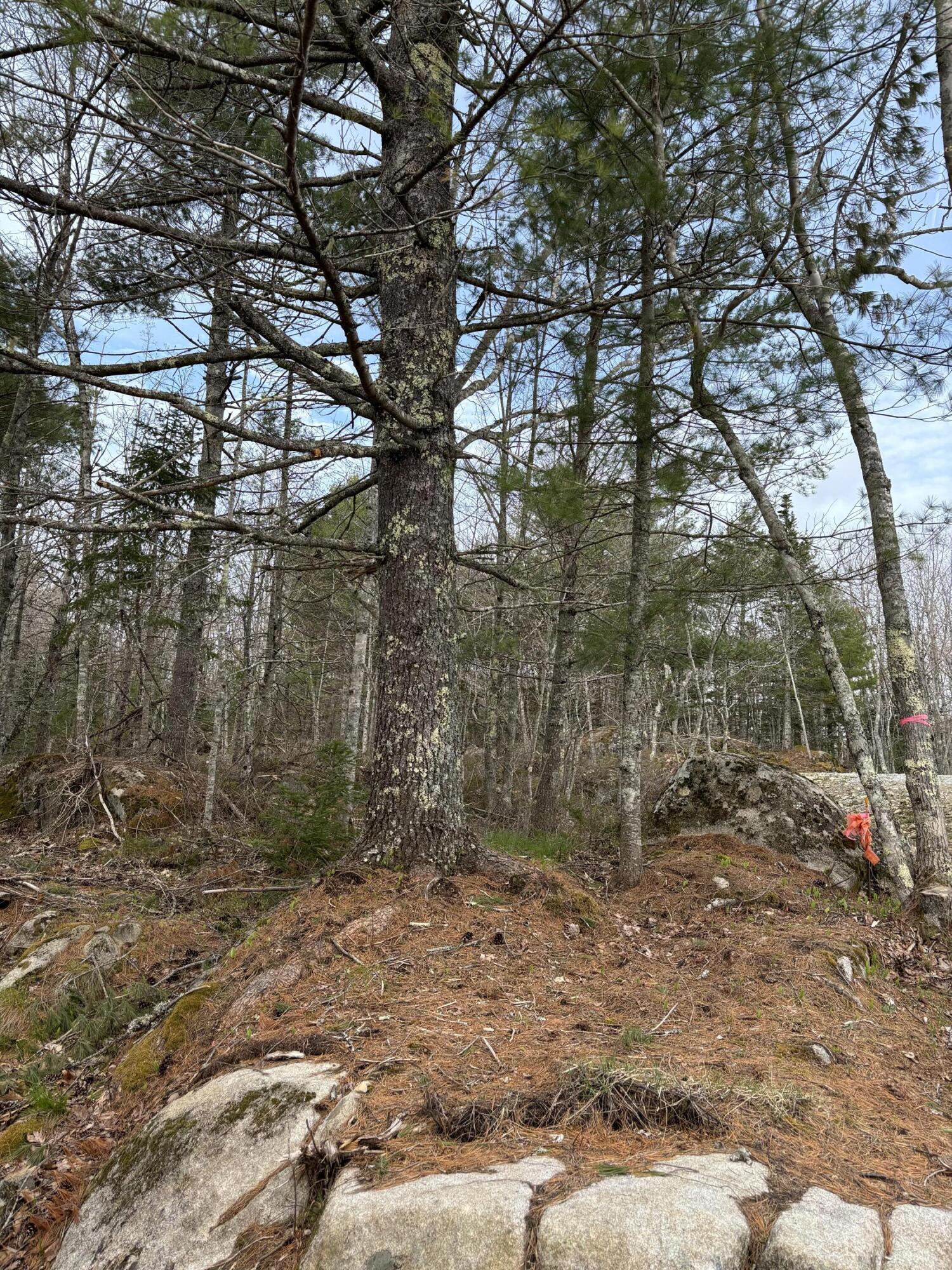 Lot 9 Aspen Drive, South Thomaston, ME, 04858