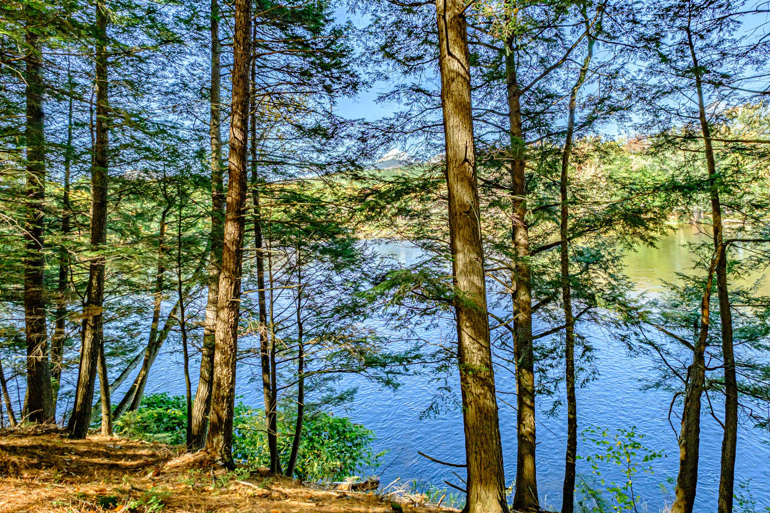 10 Oak Drive, Bethel, ME, 04217-3010